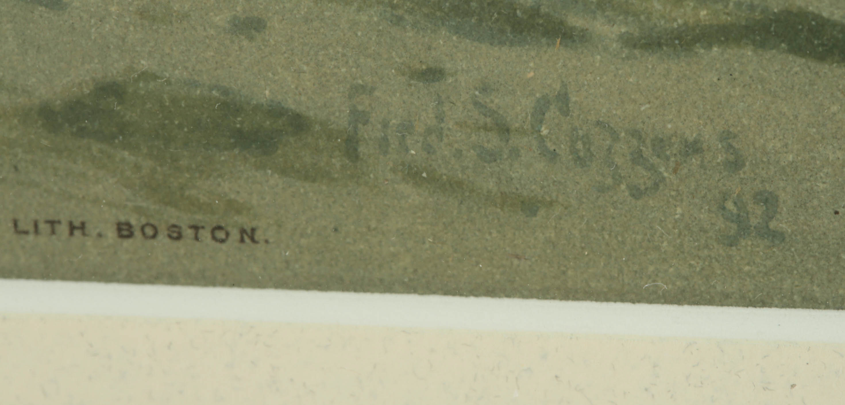 Chromolithograph by Fred S. Cozzens