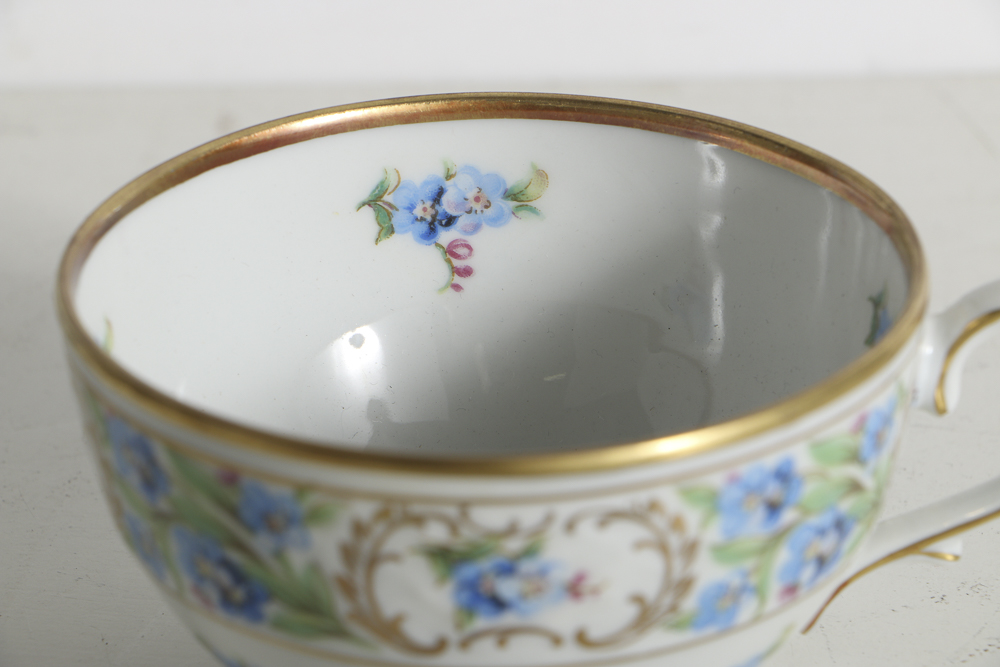 Schuman Bavarian Porcelain, "Chalet Forget-Me-Not" Items