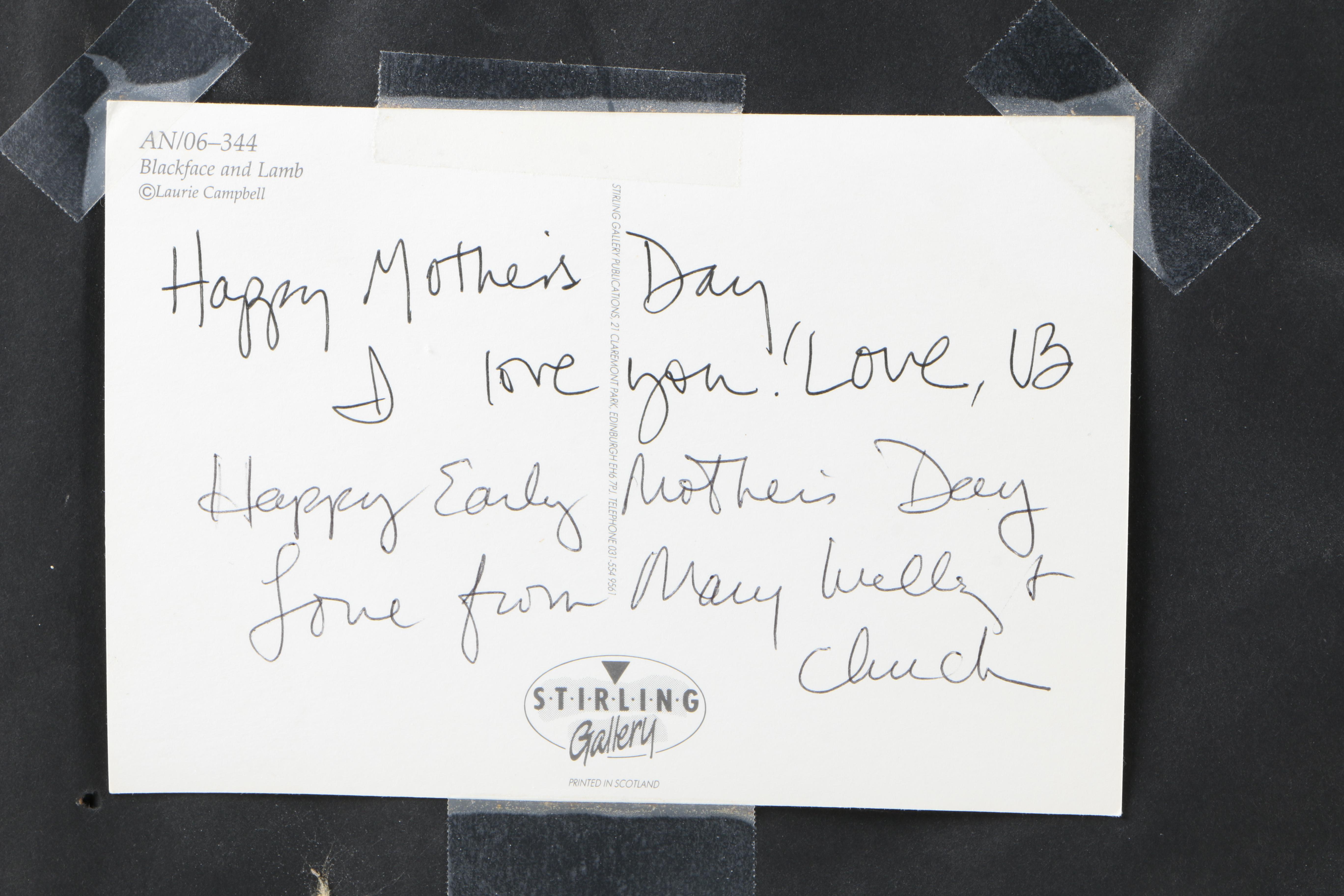 Anthony Barham 1997 Oil Painting on Canvas of Still Life With Daffodils