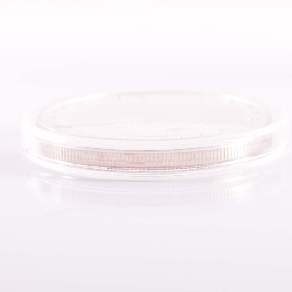 1991 Bill of Rights Silver Medallion