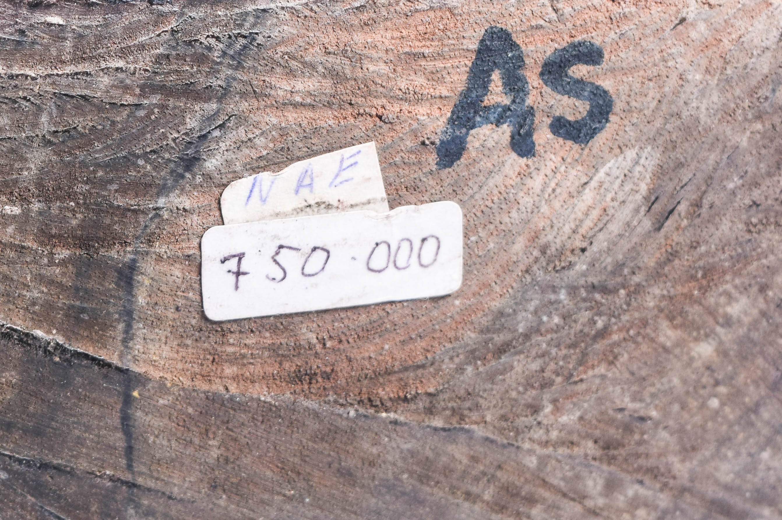 South Asian Wooden Sculpture of a Fisherman