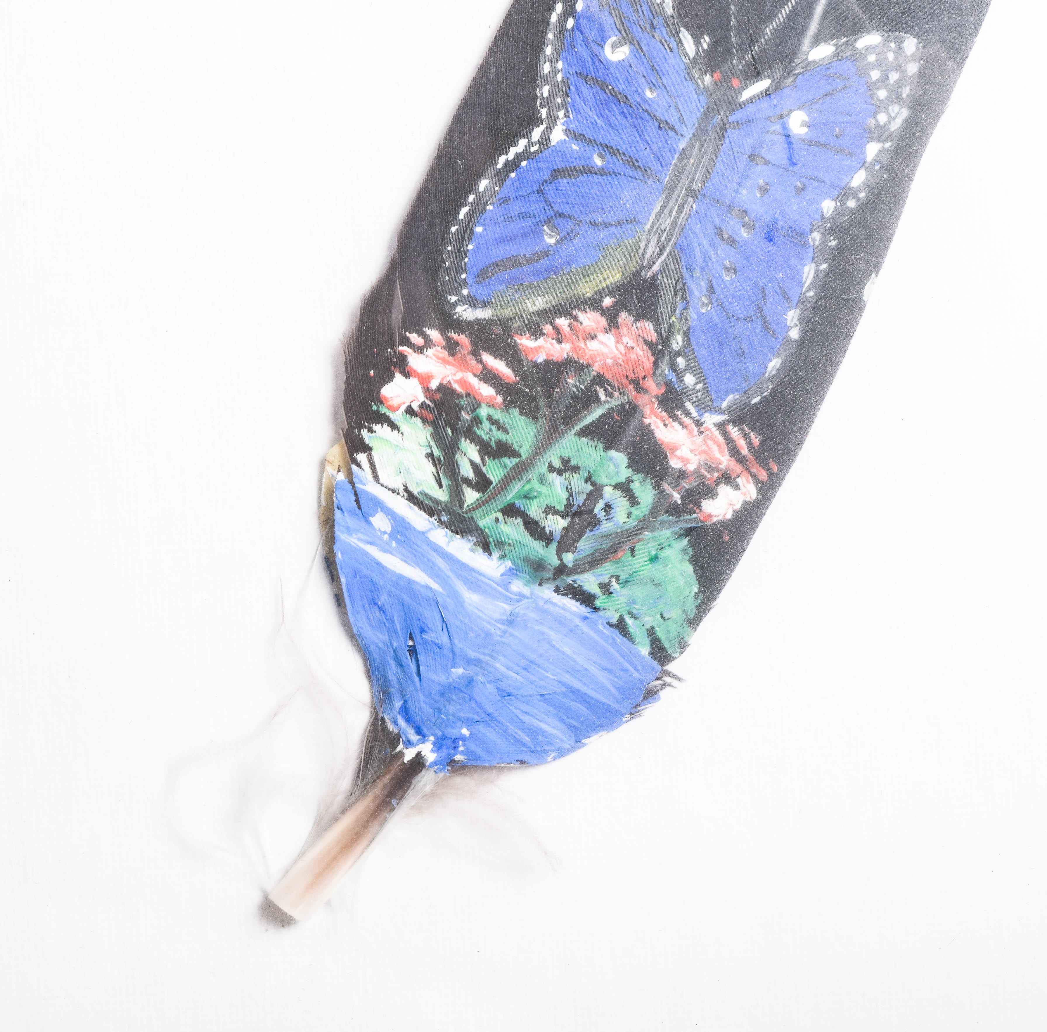 Hand Painted Feather in Frame