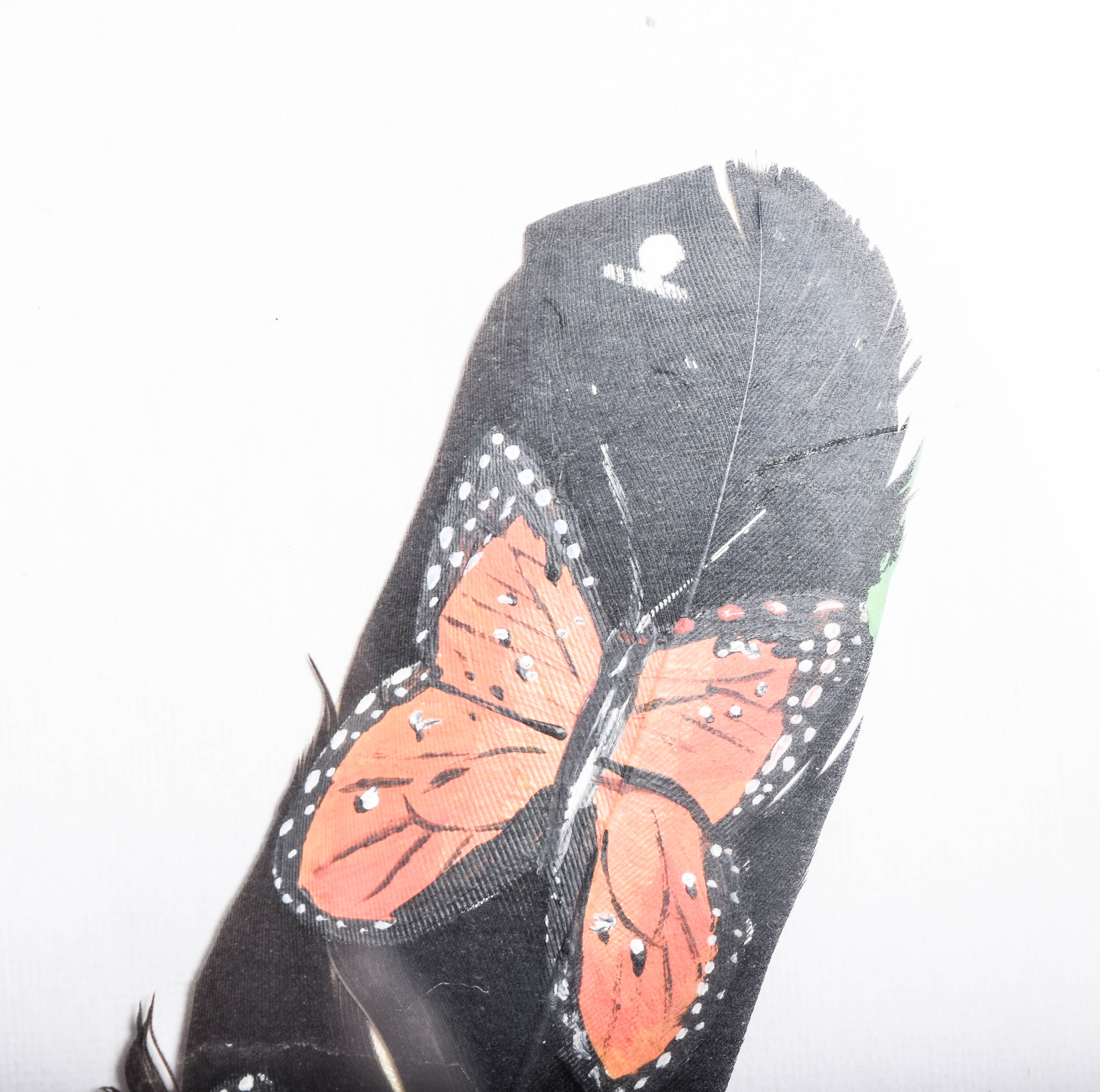 Hand Painted Feather in Frame