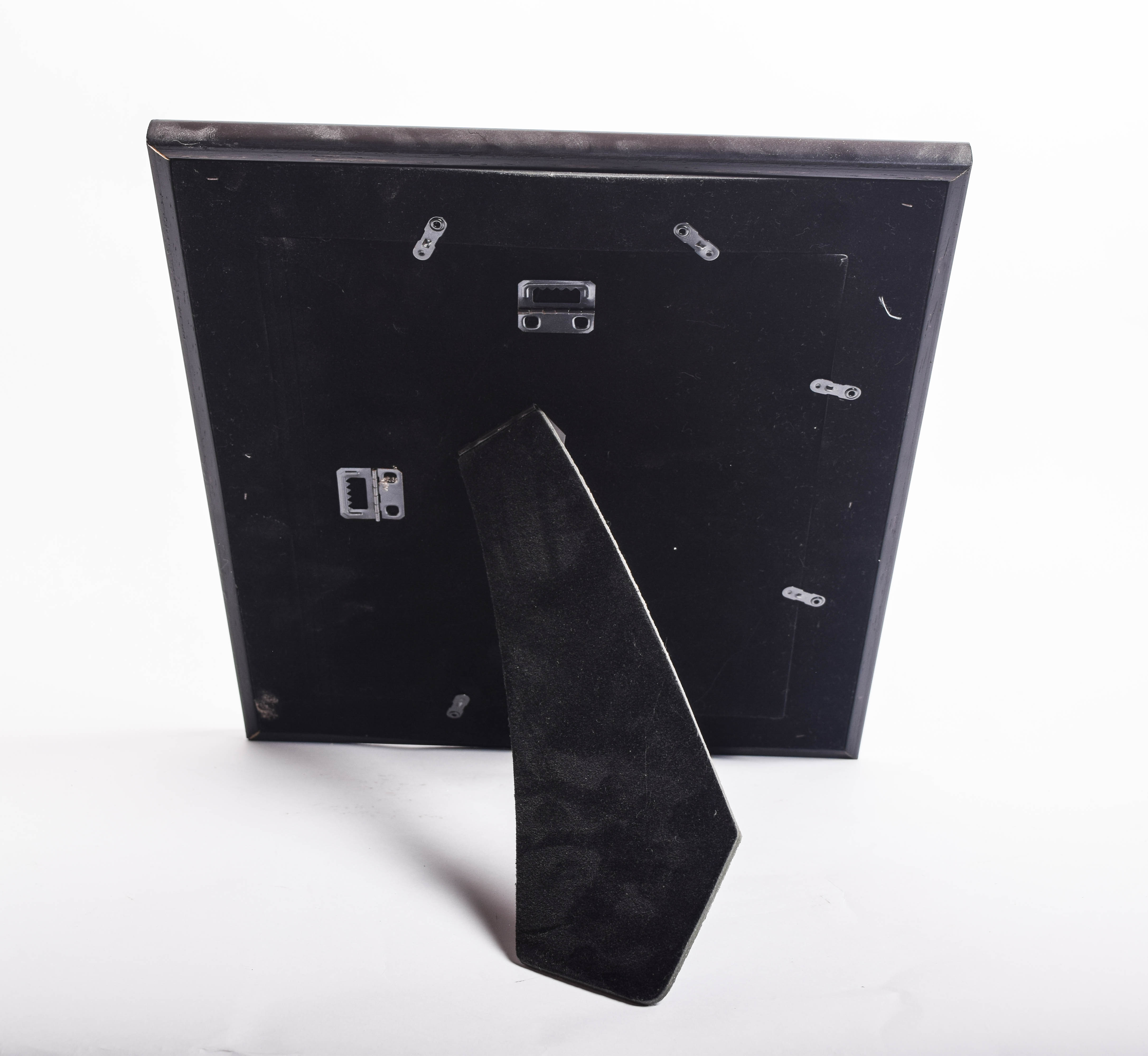 Hand Painted Feather in Frame