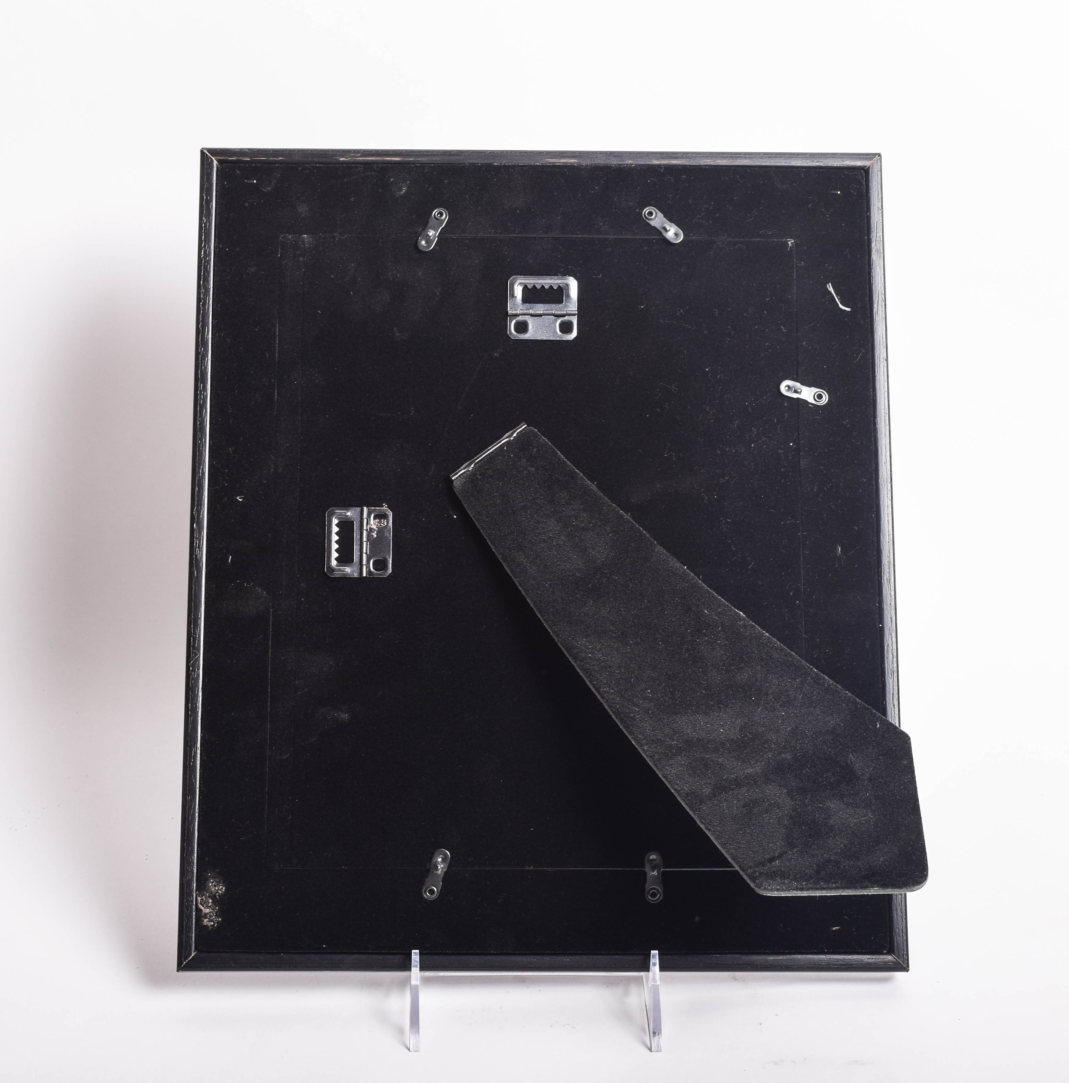 Hand Painted Feather in Frame