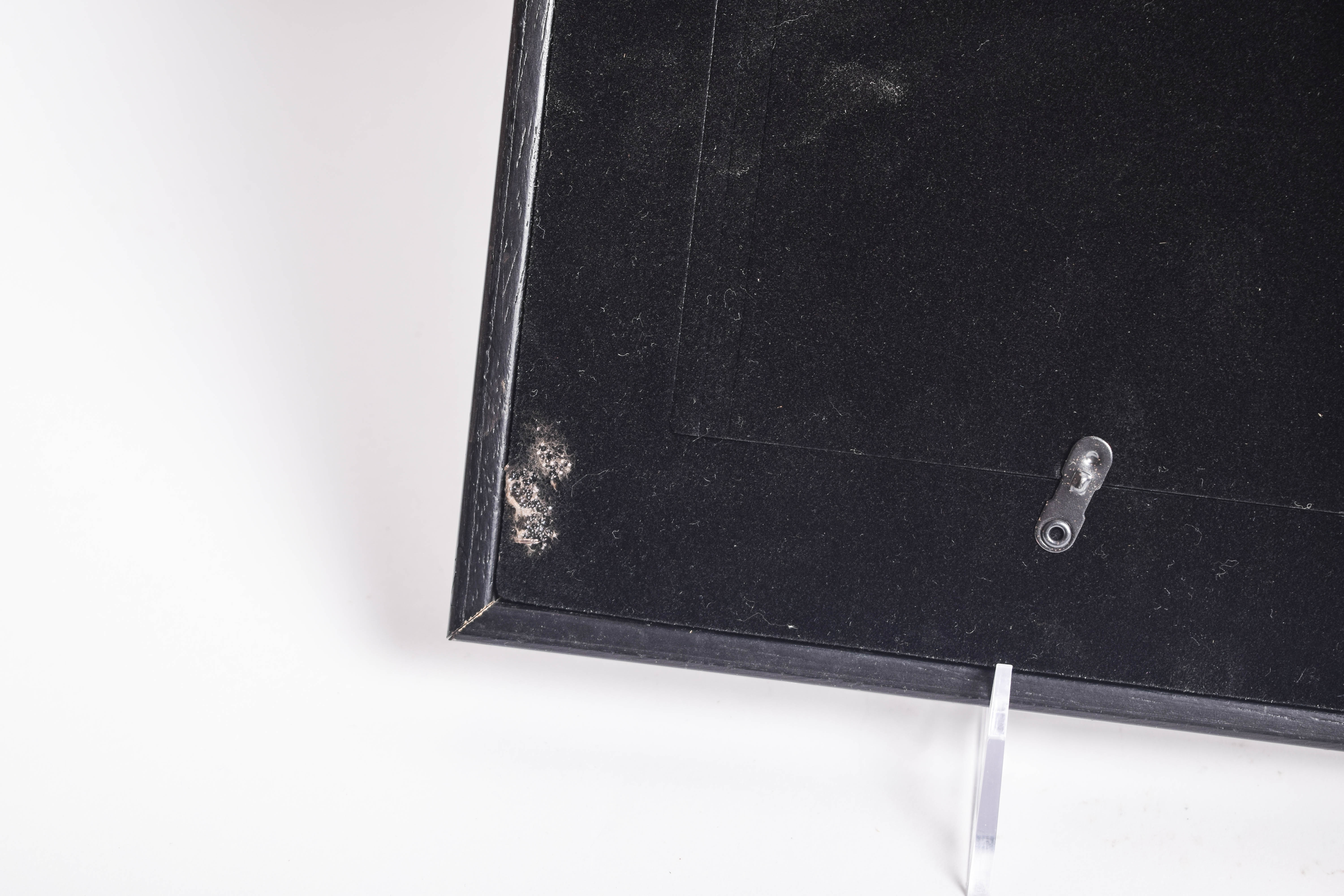 Hand Painted Feather in Frame