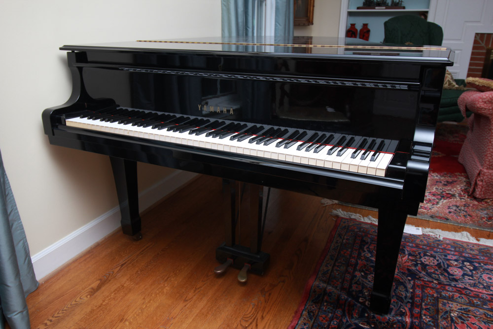 Black Yamaha Grand Piano and Bench