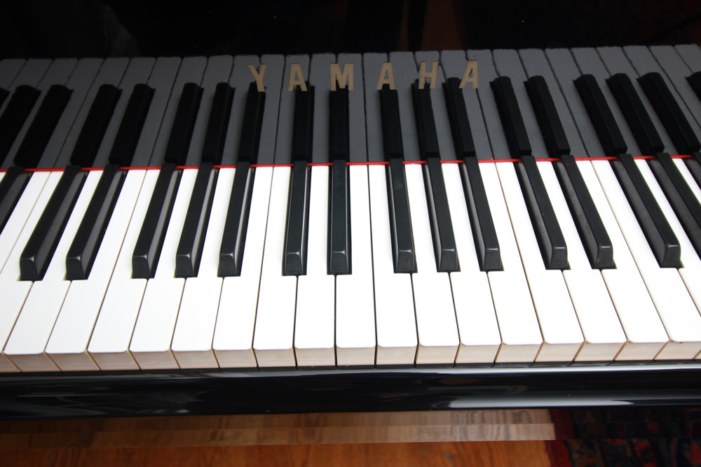 Black Yamaha Grand Piano and Bench