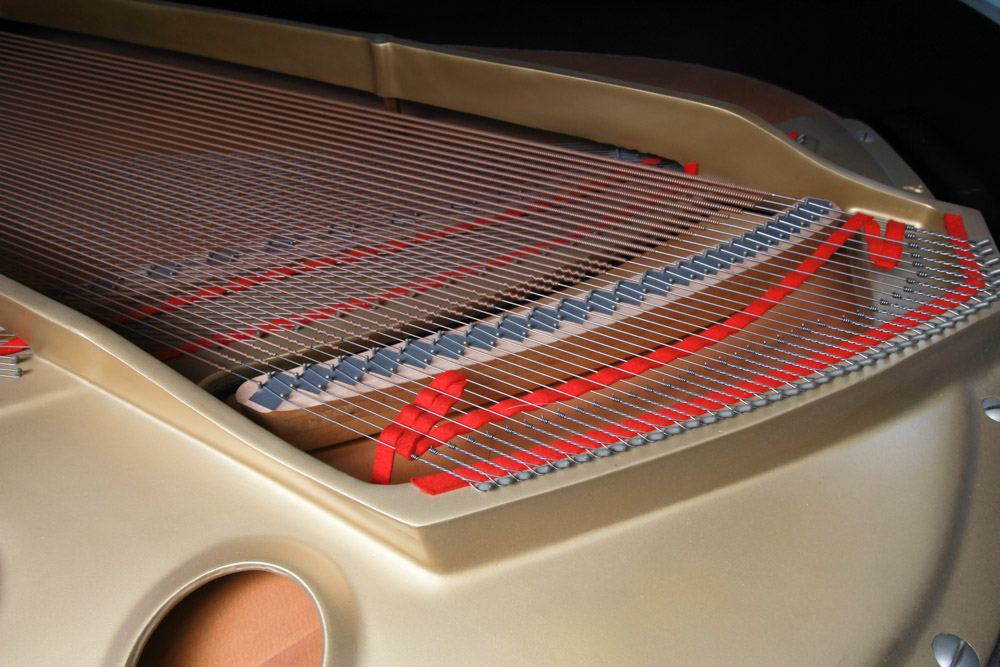 Black Yamaha Grand Piano and Bench