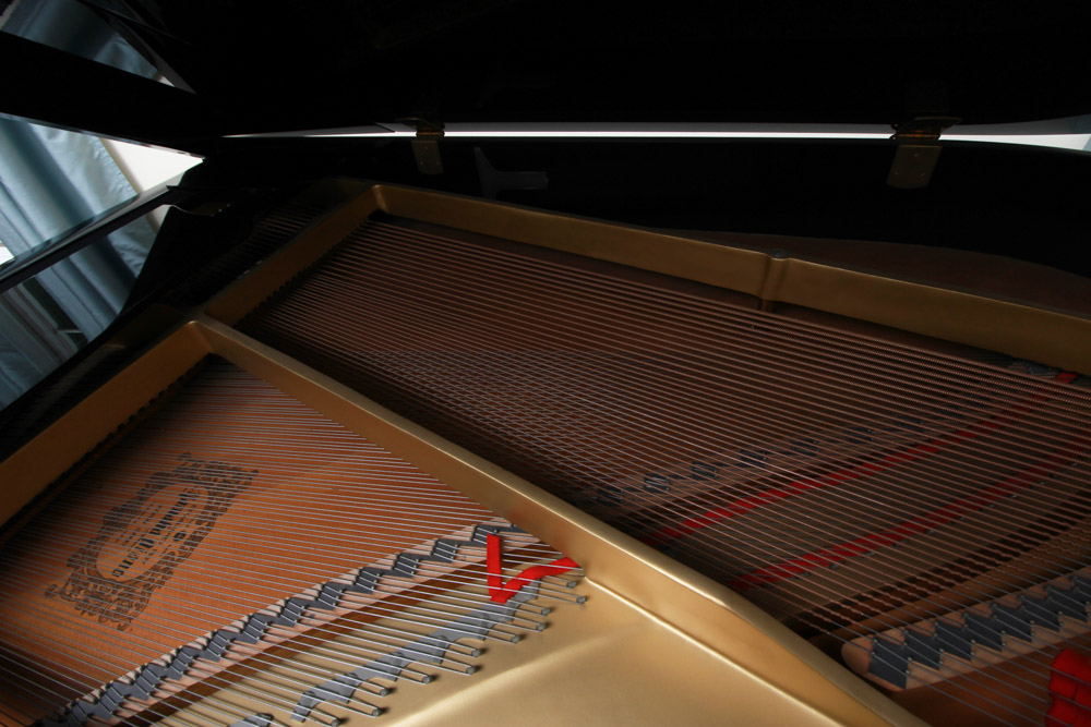 Black Yamaha Grand Piano and Bench