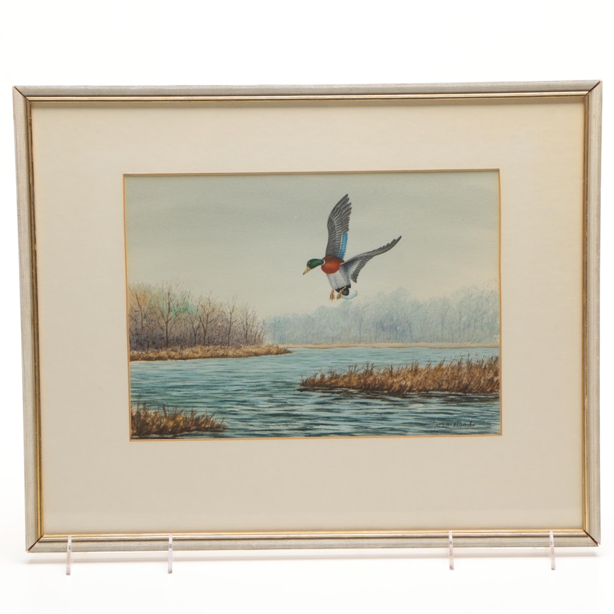 Ted Hanks Watercolor of Mallard Duck Landing on Water