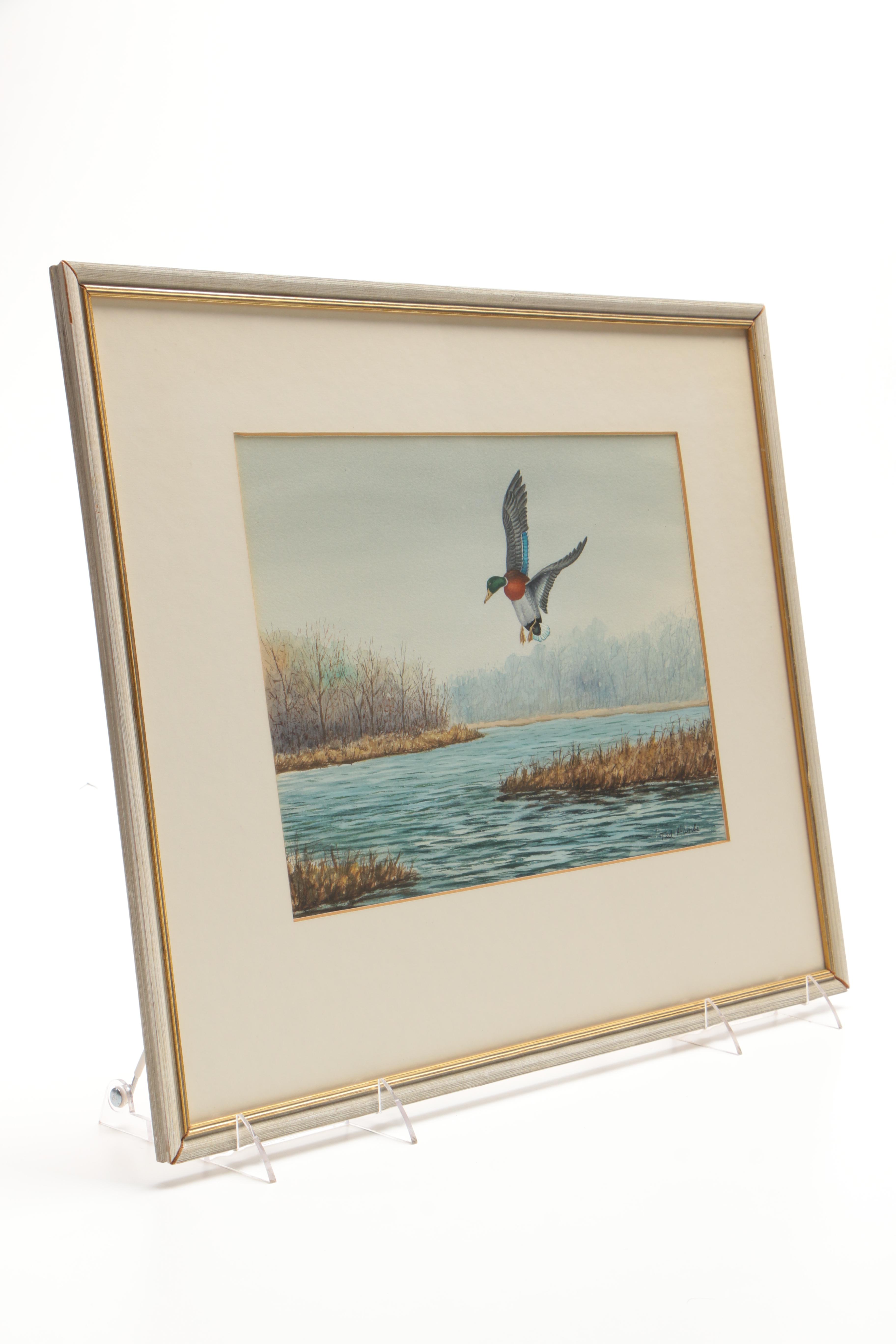 Ted Hanks Watercolor of Mallard Duck Landing on Water