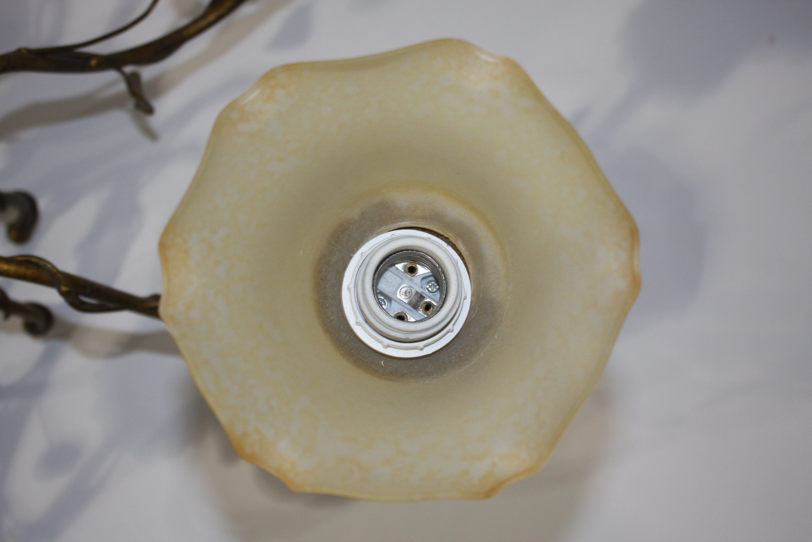 Brass Leaf and Scroll Chandelier