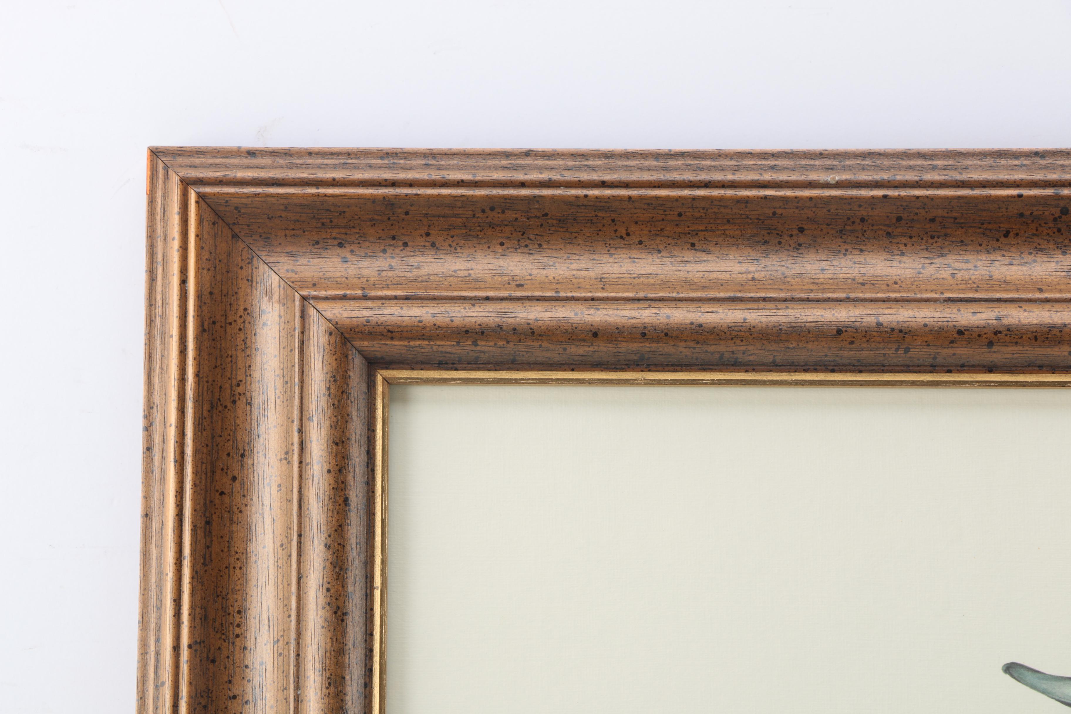 After Charles E. Murphy Offset Lithograph "American Pintaill"