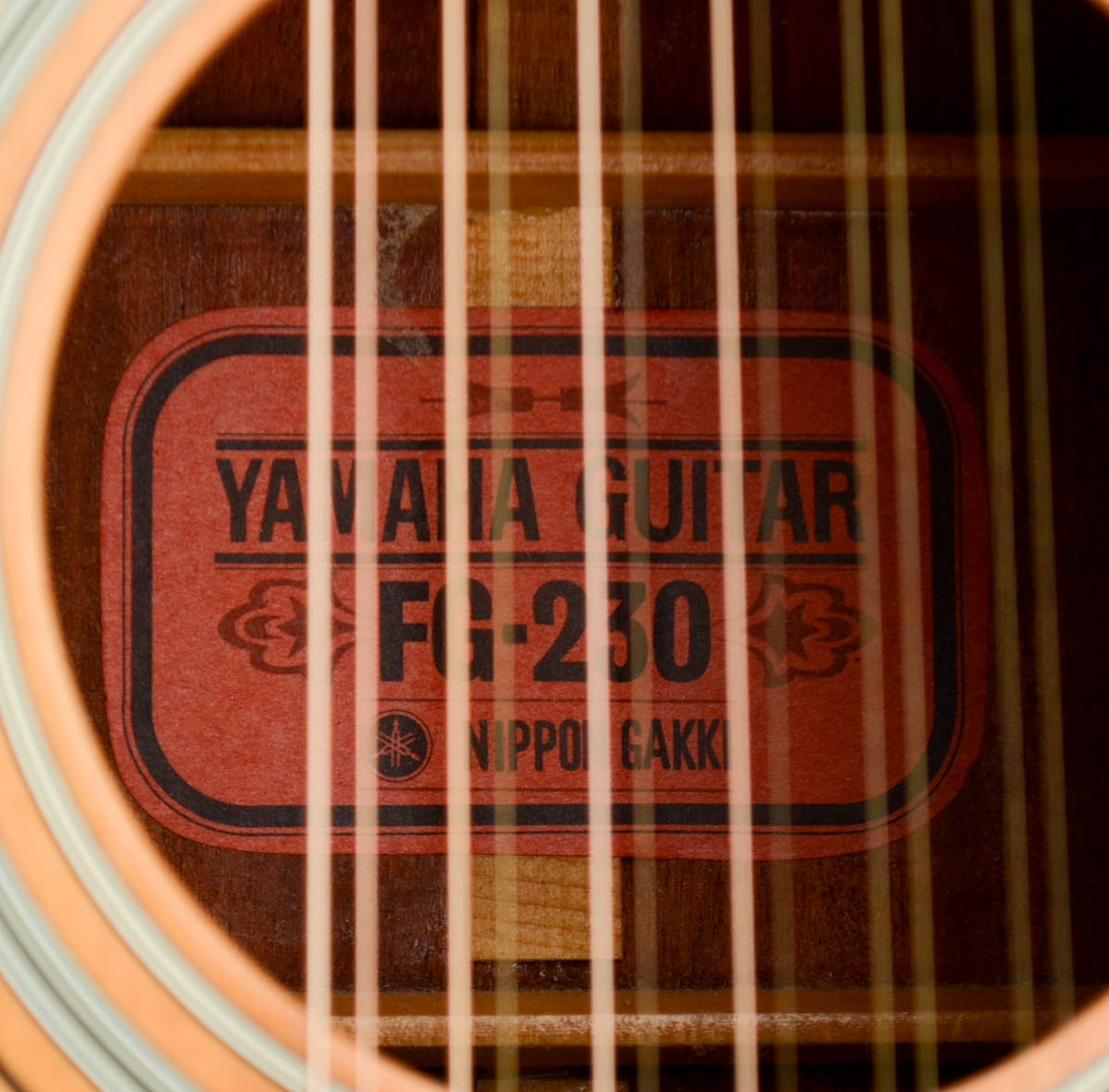 Yamaha 12-String Acoustic Guitar and Case