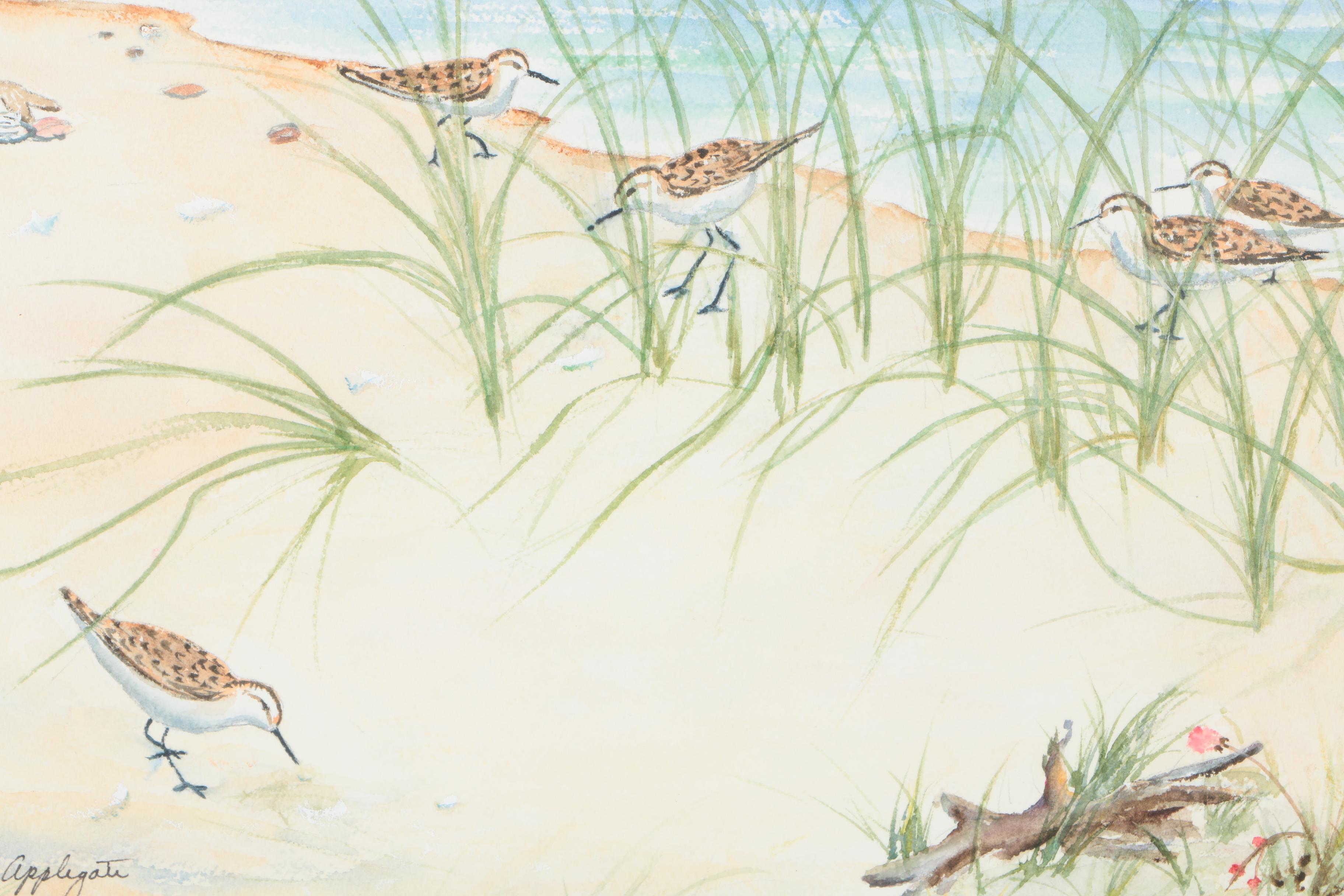 Pat Applegate Watercolor on Paper of Waders