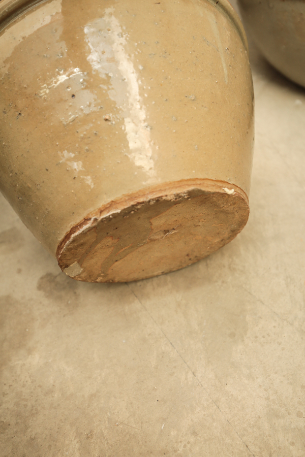 Assortment of Garden Pots and Planters