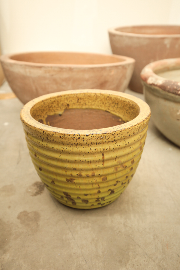 Assortment of Garden Pots and Planters