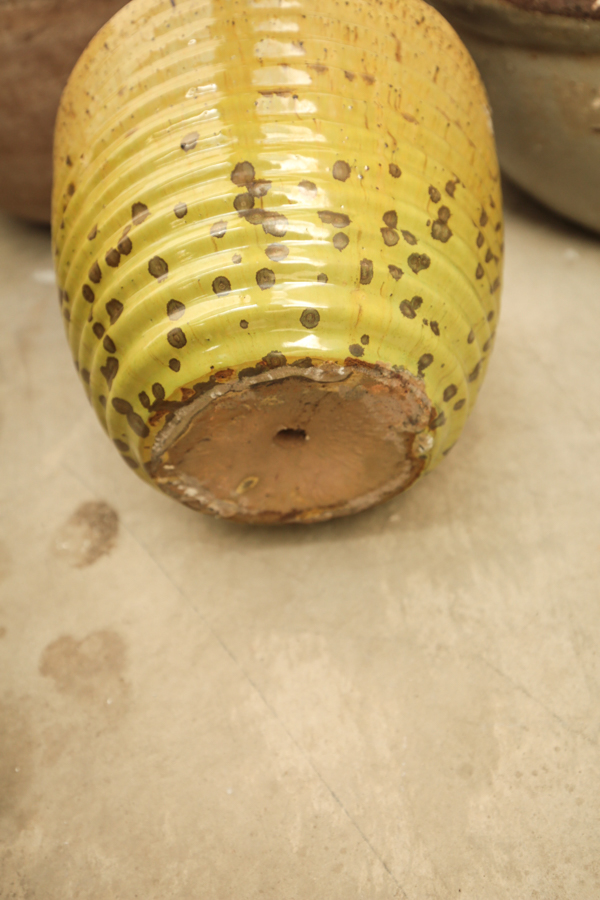 Assortment of Garden Pots and Planters