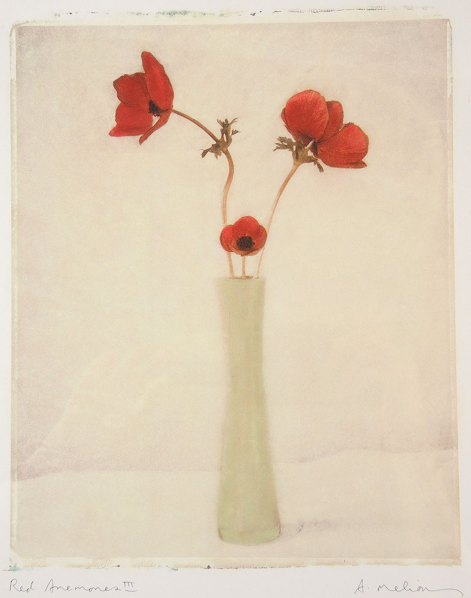 Decorative Giclée Reproductions after A. Melion "Red Anemone"