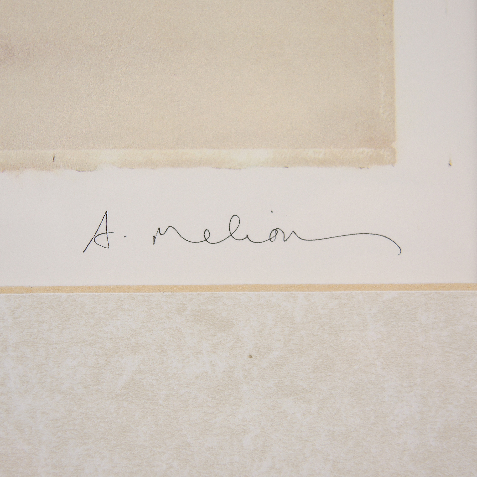 Decorative Giclée Reproductions after A. Melion "Red Anemone"