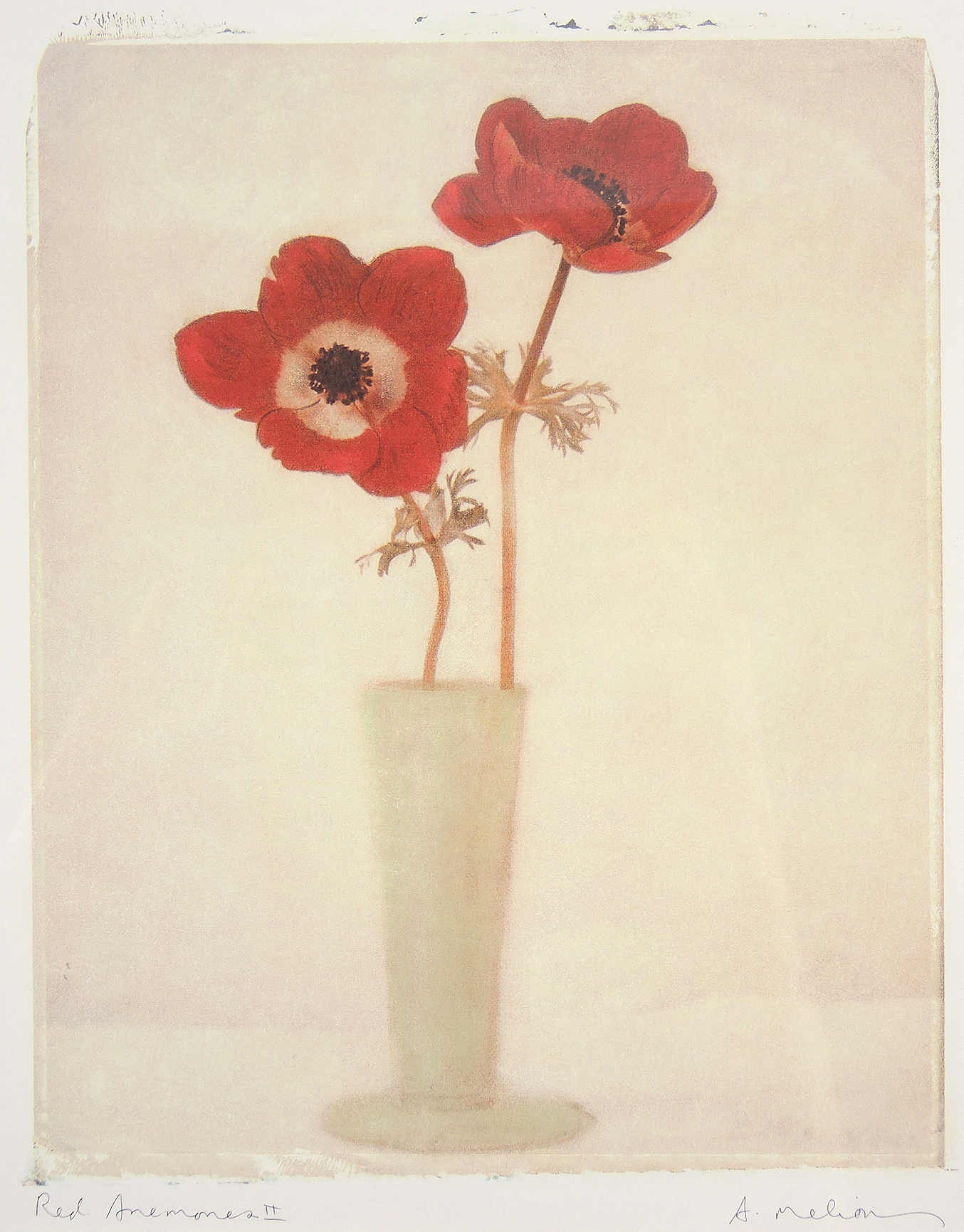 Decorative Giclée Reproductions after A. Melion "Red Anemone"
