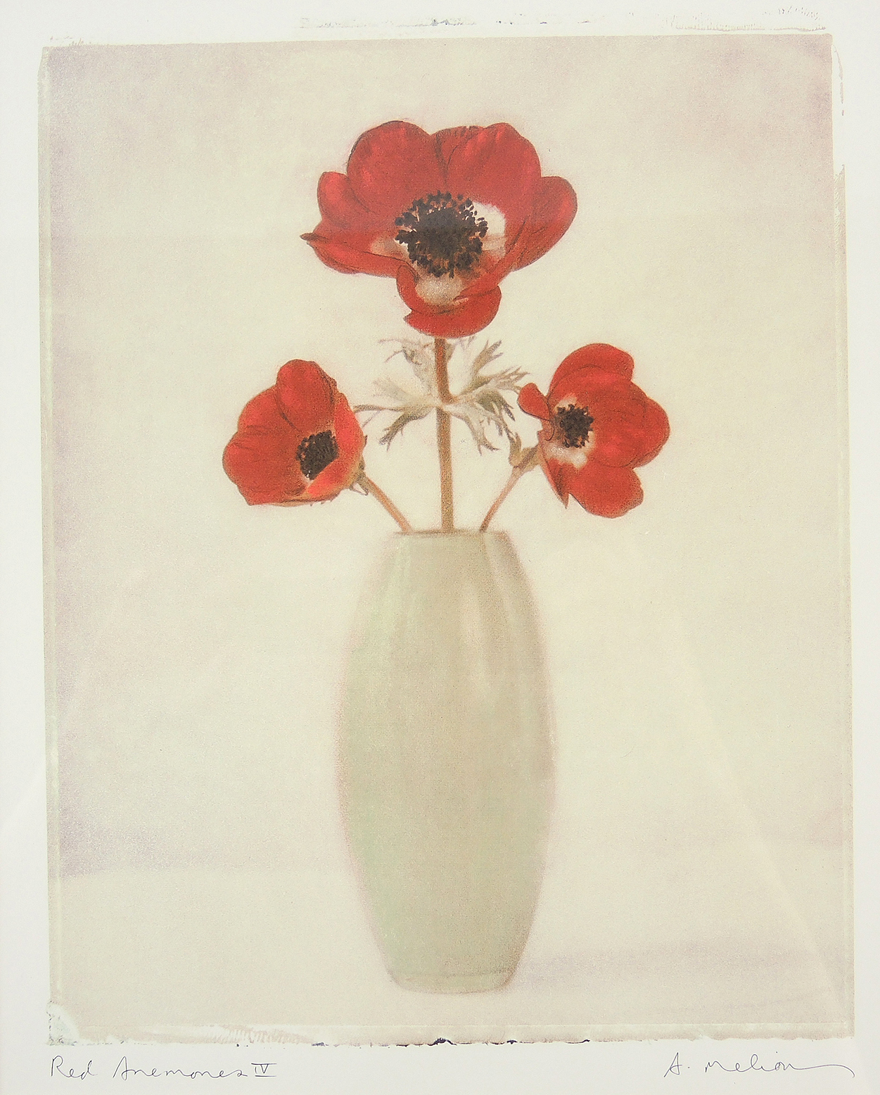 Decorative Giclée Reproductions after A. Melion "Red Anemone"