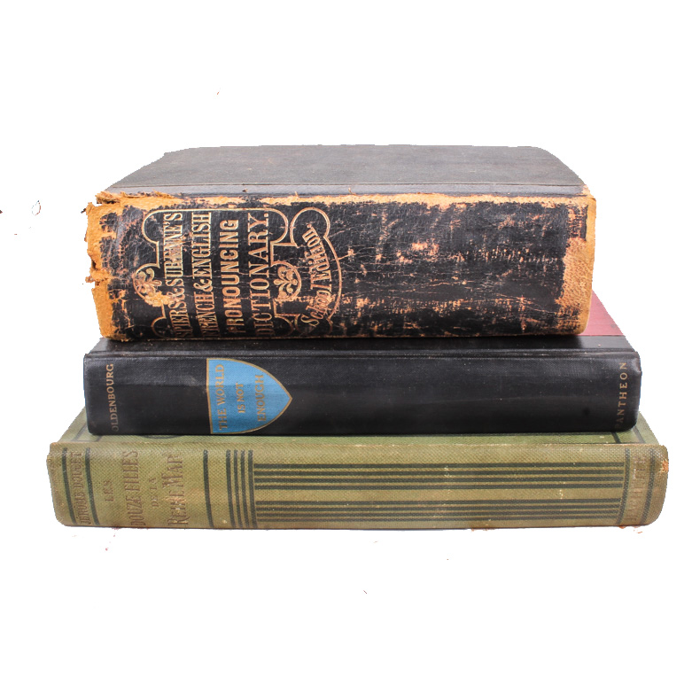 Selection of French Themed Books