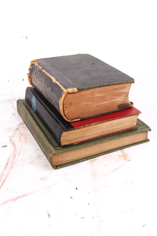 Selection of French Themed Books