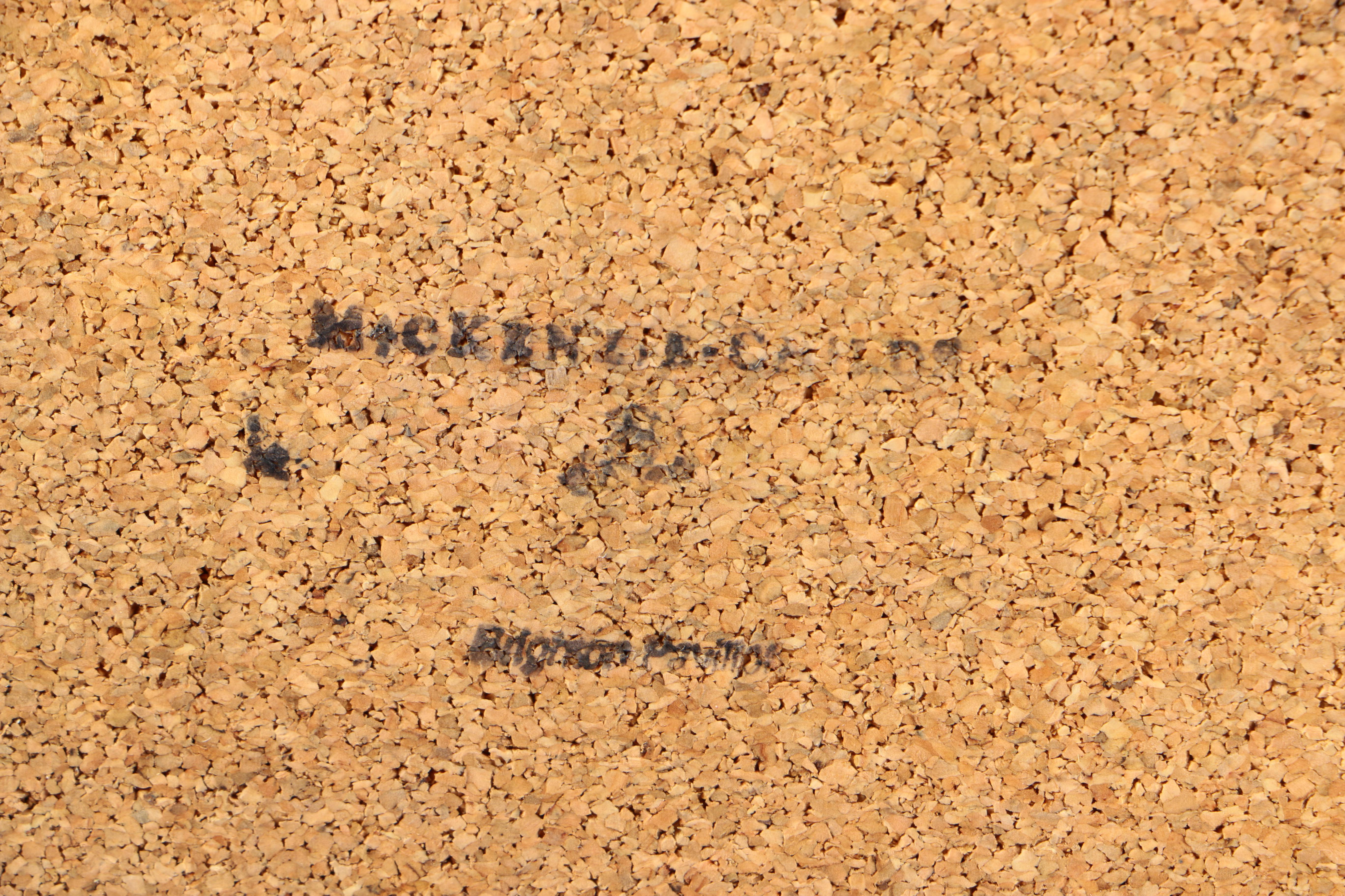 MacKenzie-Childs Jalapeno Trivets