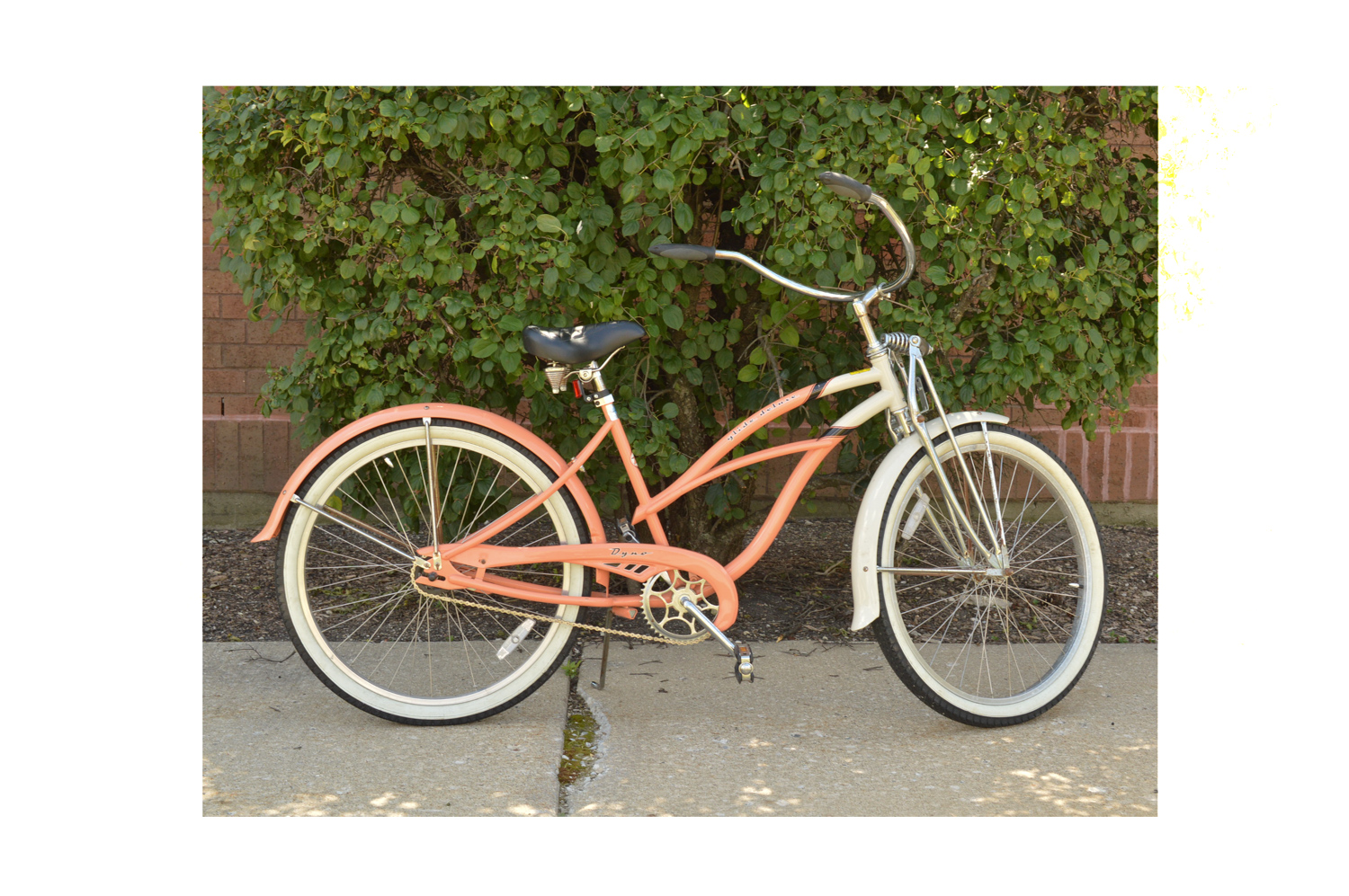 Dyno glide 2024 cruiser bike