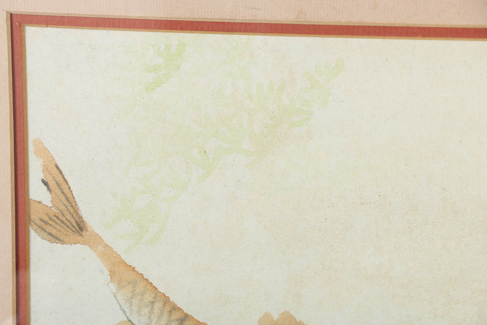 East Asian Style Watercolor Paintings of Koi Fish