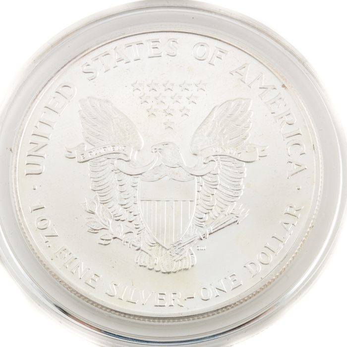 Colorized 1999 Walking Liberty Silver Eagle Bullion Coin