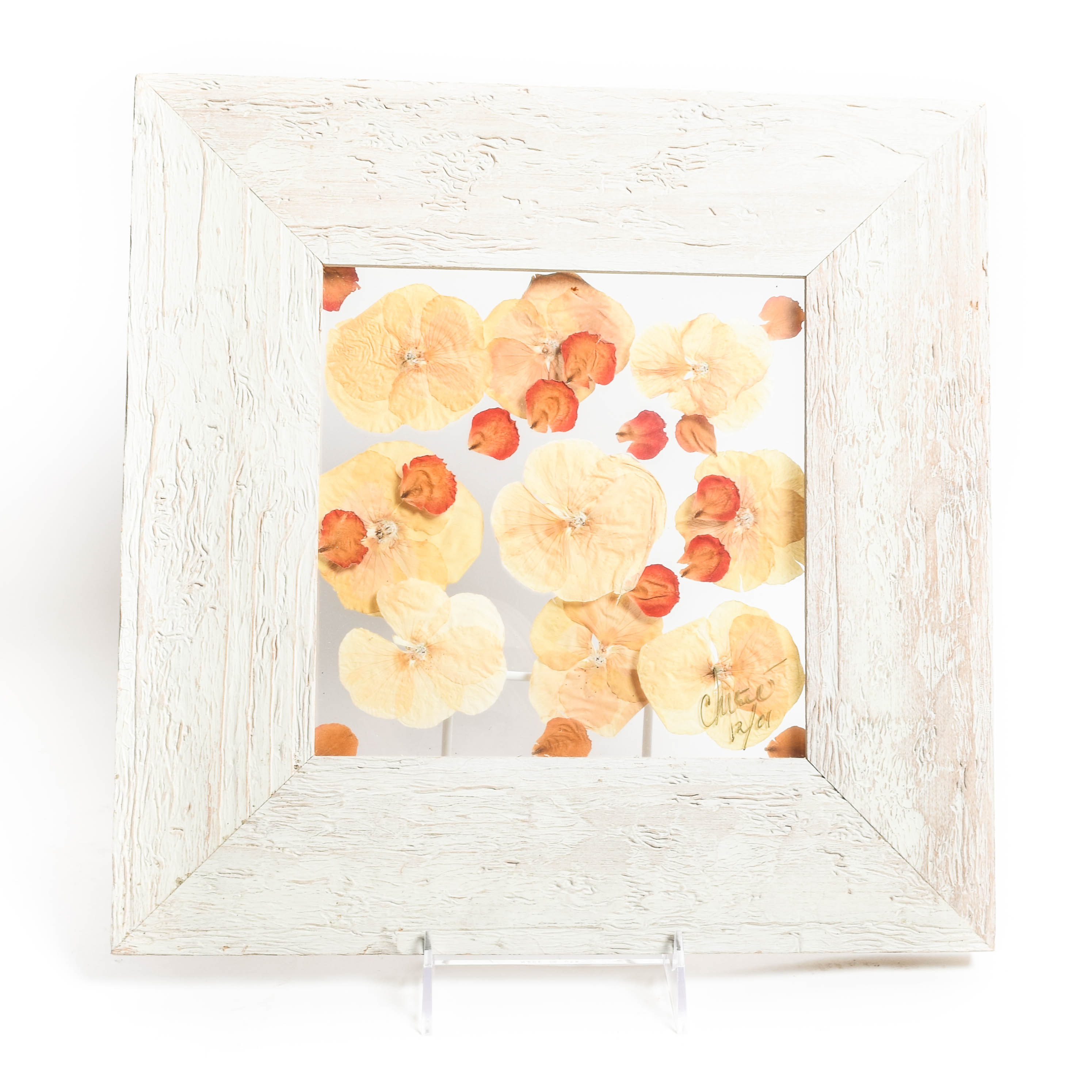 Chirie Framed Dried Flower Art