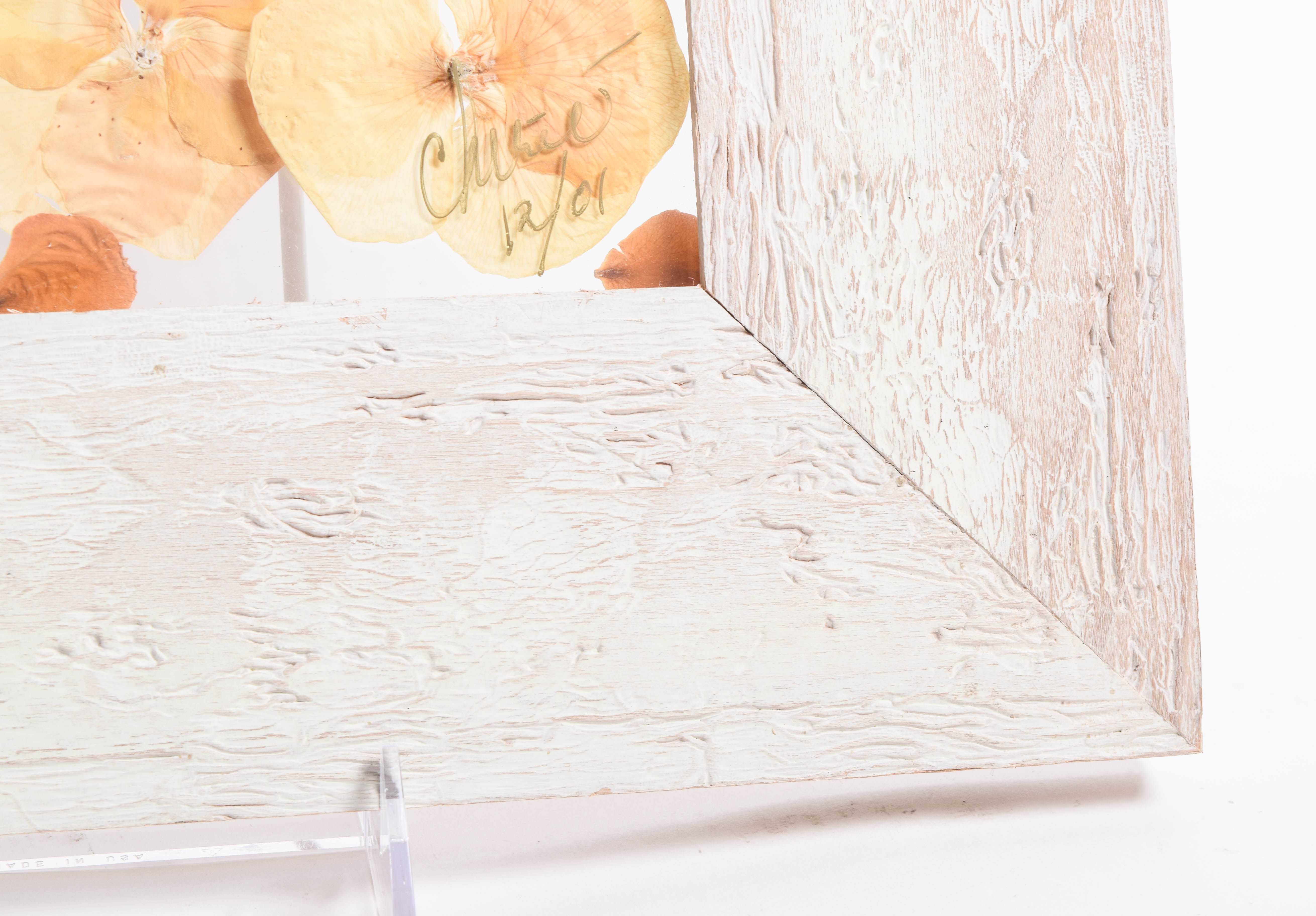 Chirie Framed Dried Flower Art