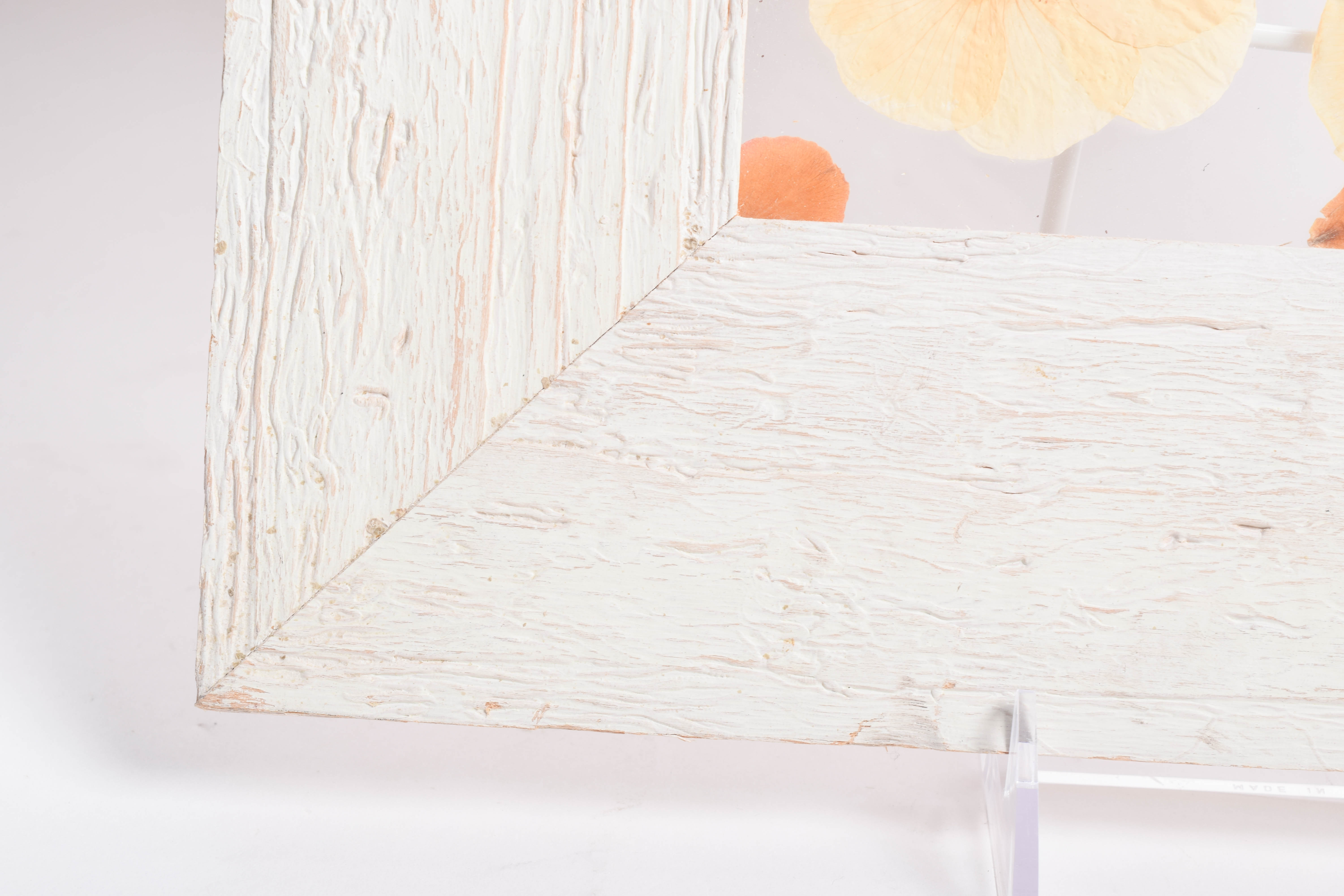 Chirie Framed Dried Flower Art