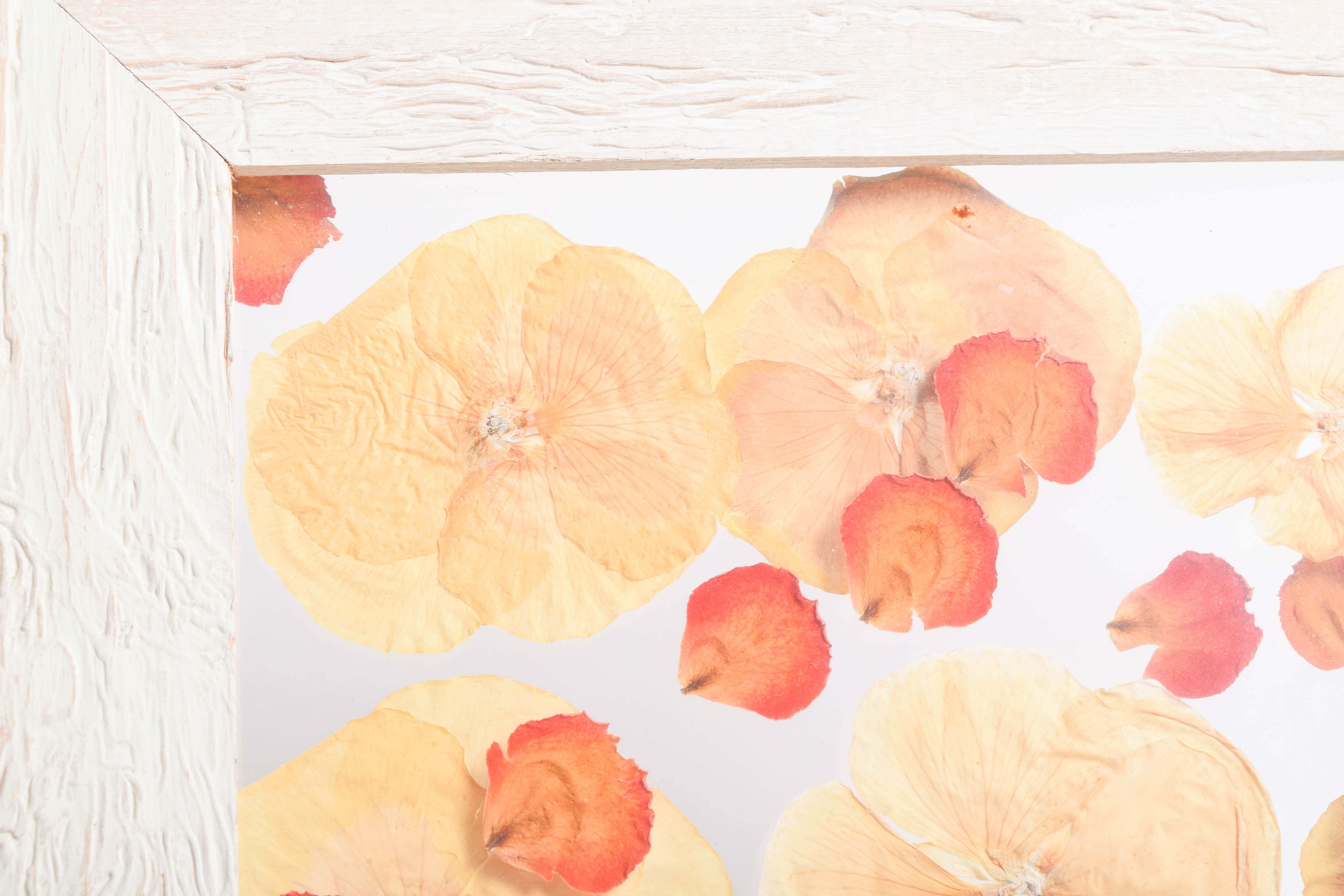 Chirie Framed Dried Flower Art