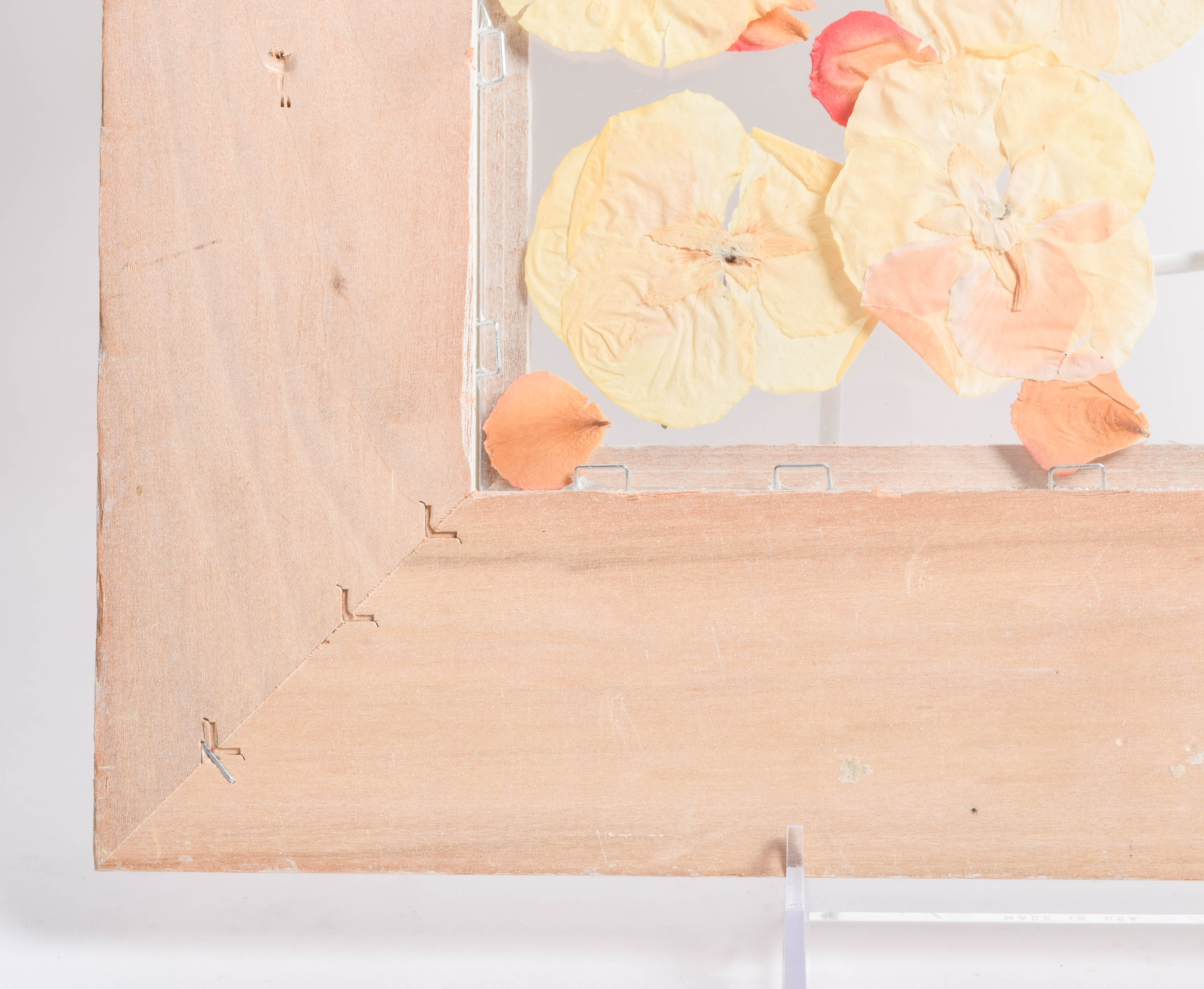 Chirie Framed Dried Flower Art