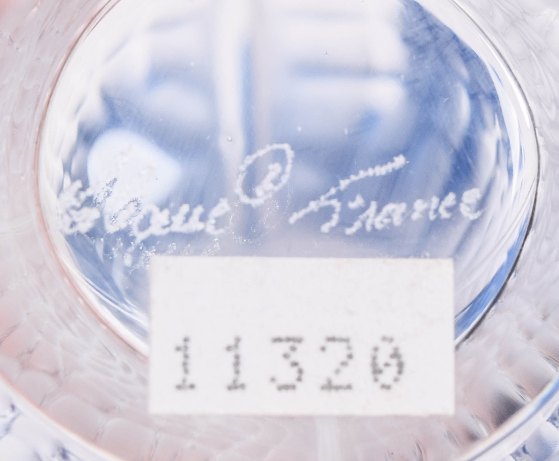 Collection of Vintage Lalique French Crystal Perfume Bottles