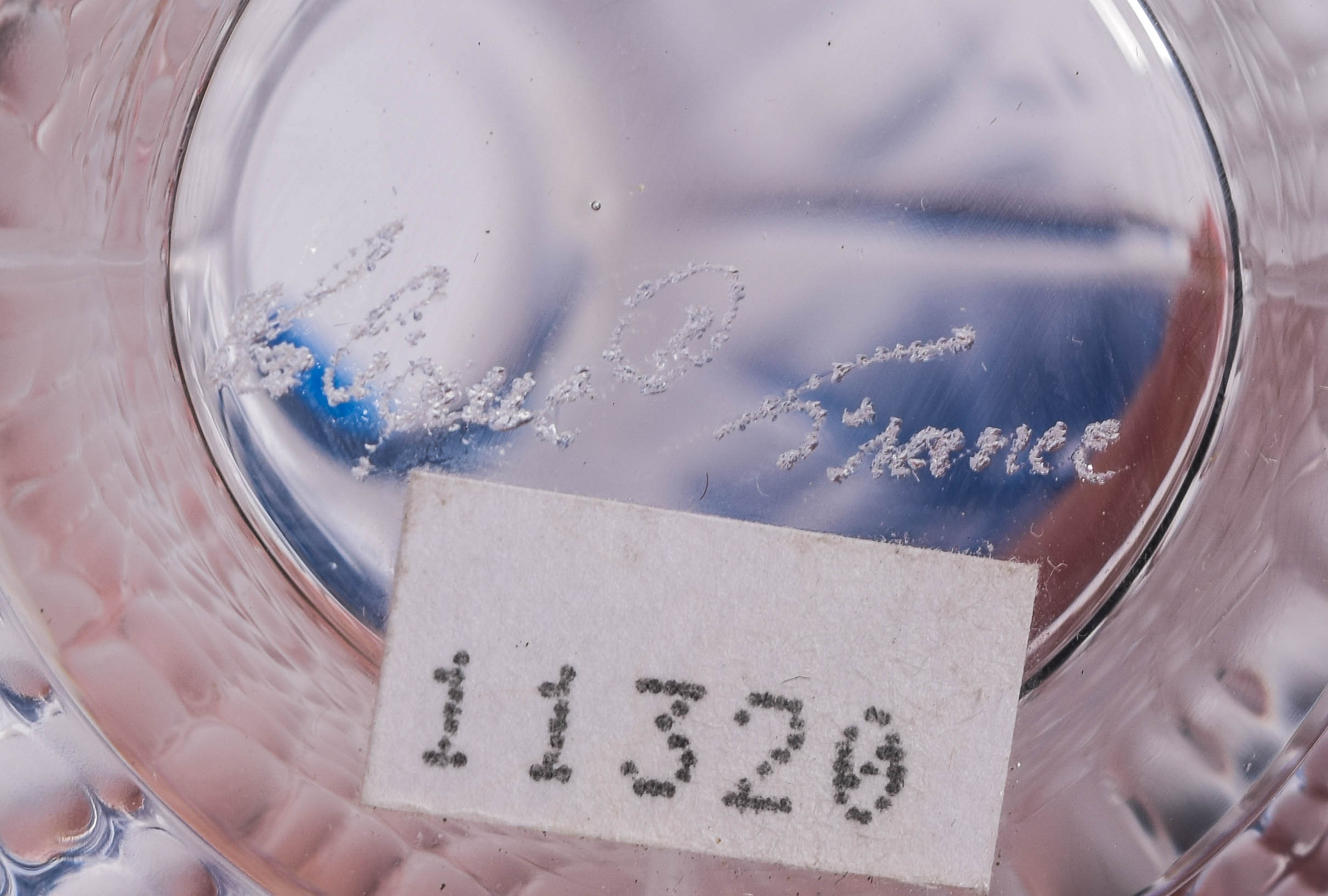 Collection of Vintage Lalique French Crystal Perfume Bottles