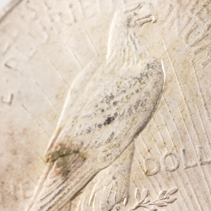 1926 Silver Peace Dollar