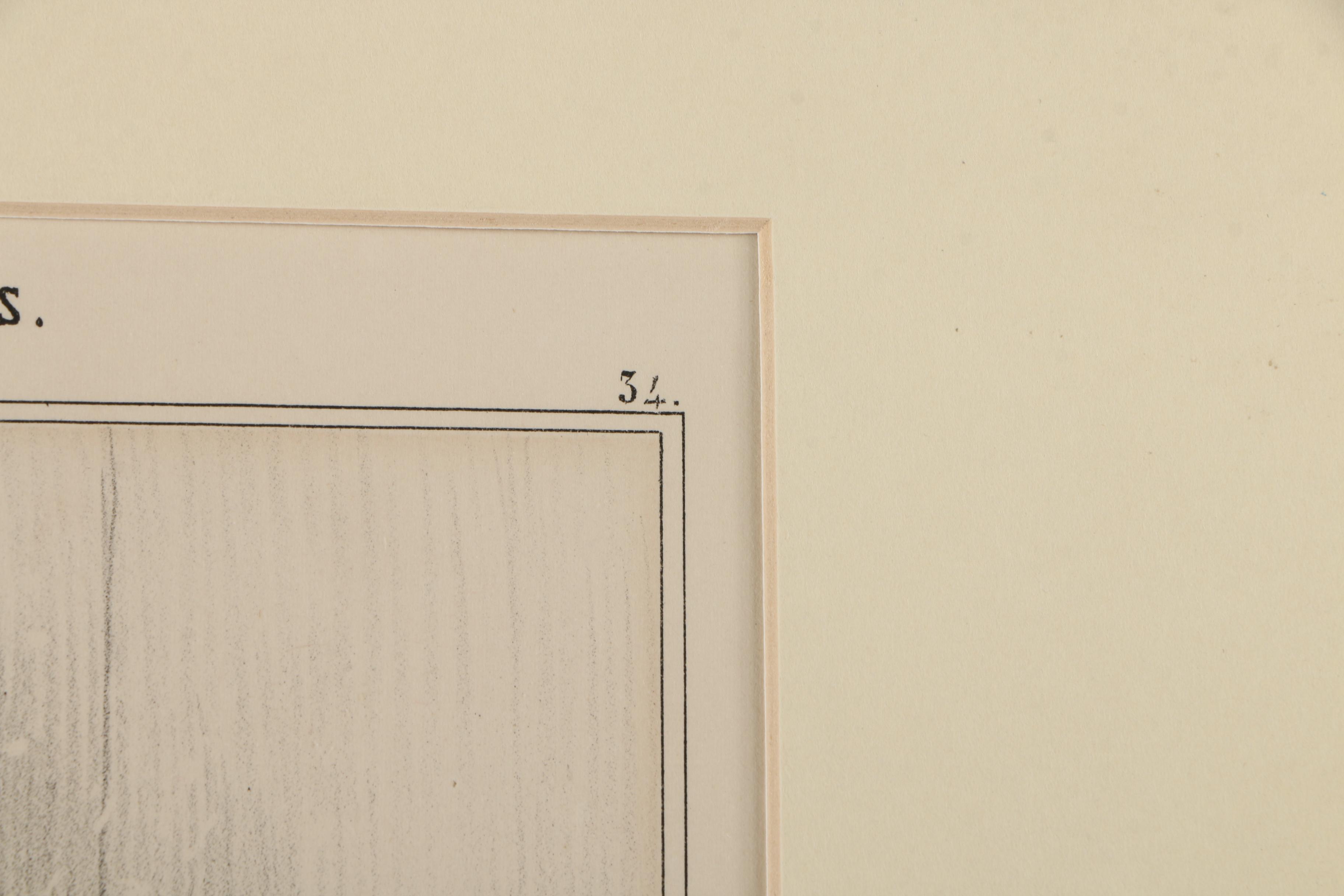 Honore Daumier Lithographs of Political Cartoons on Paper