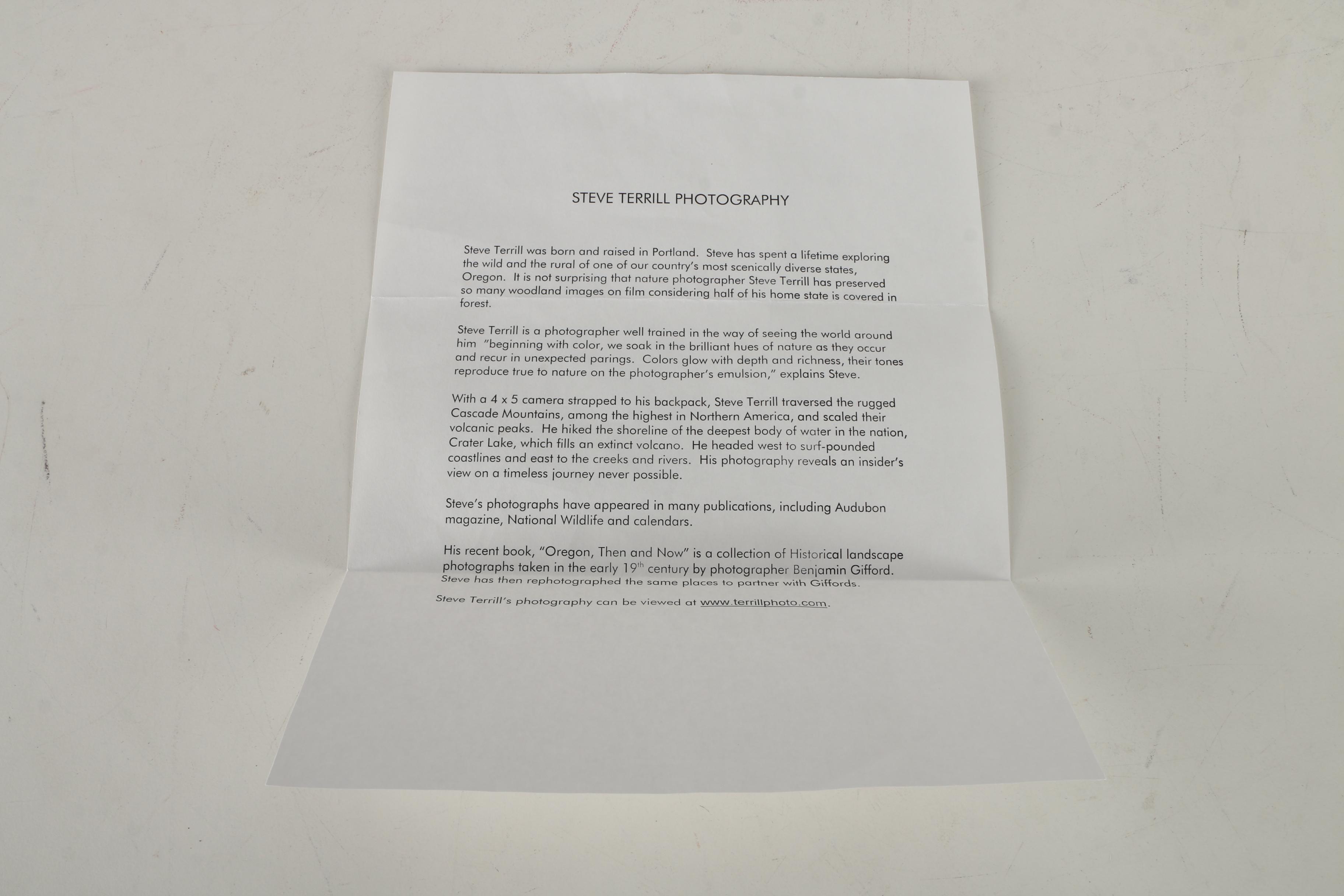 Steve Terrill Color Photograph "Mt. Hood"