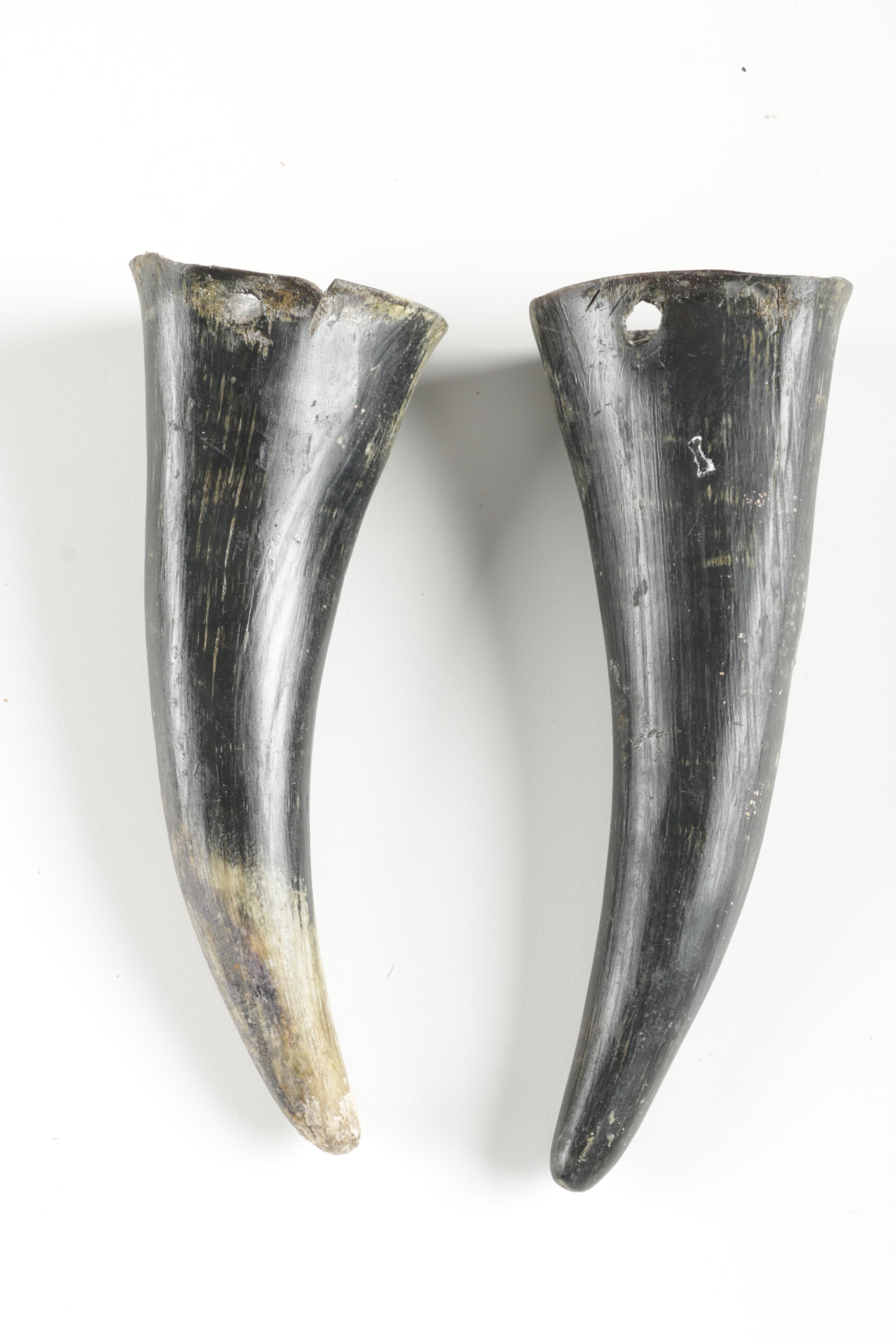 Ornately Carved Animal Skulls