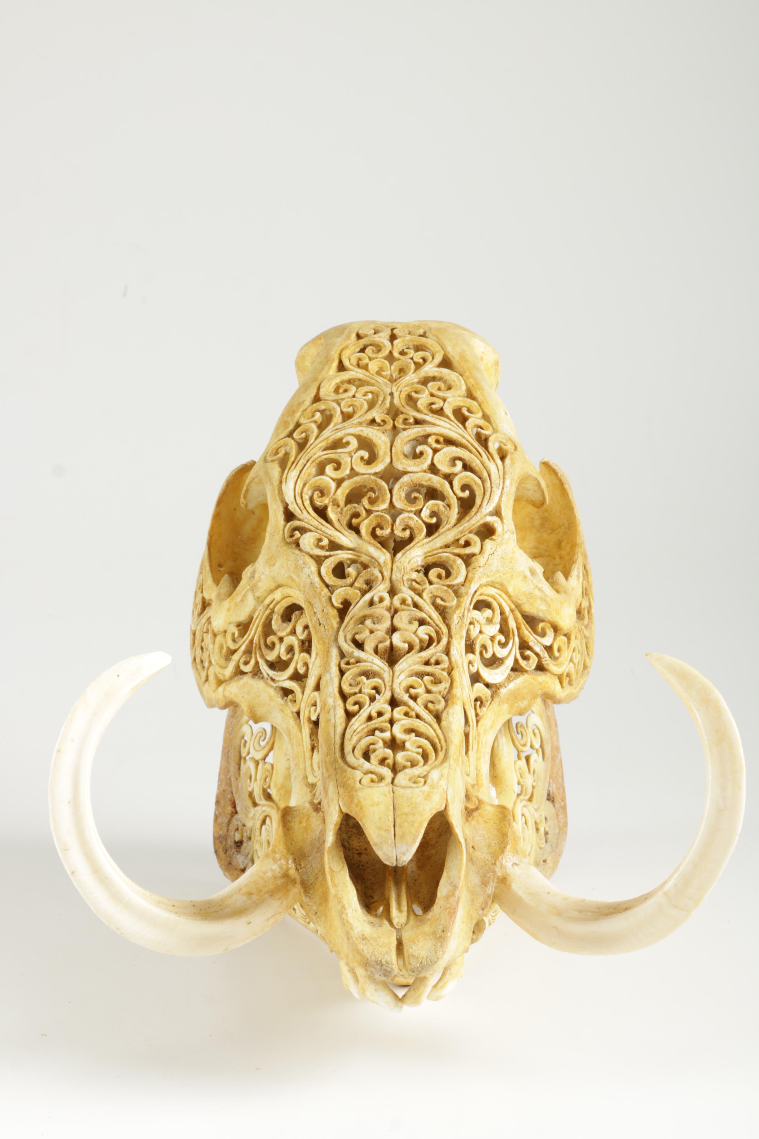 Ornately Carved Animal Skulls