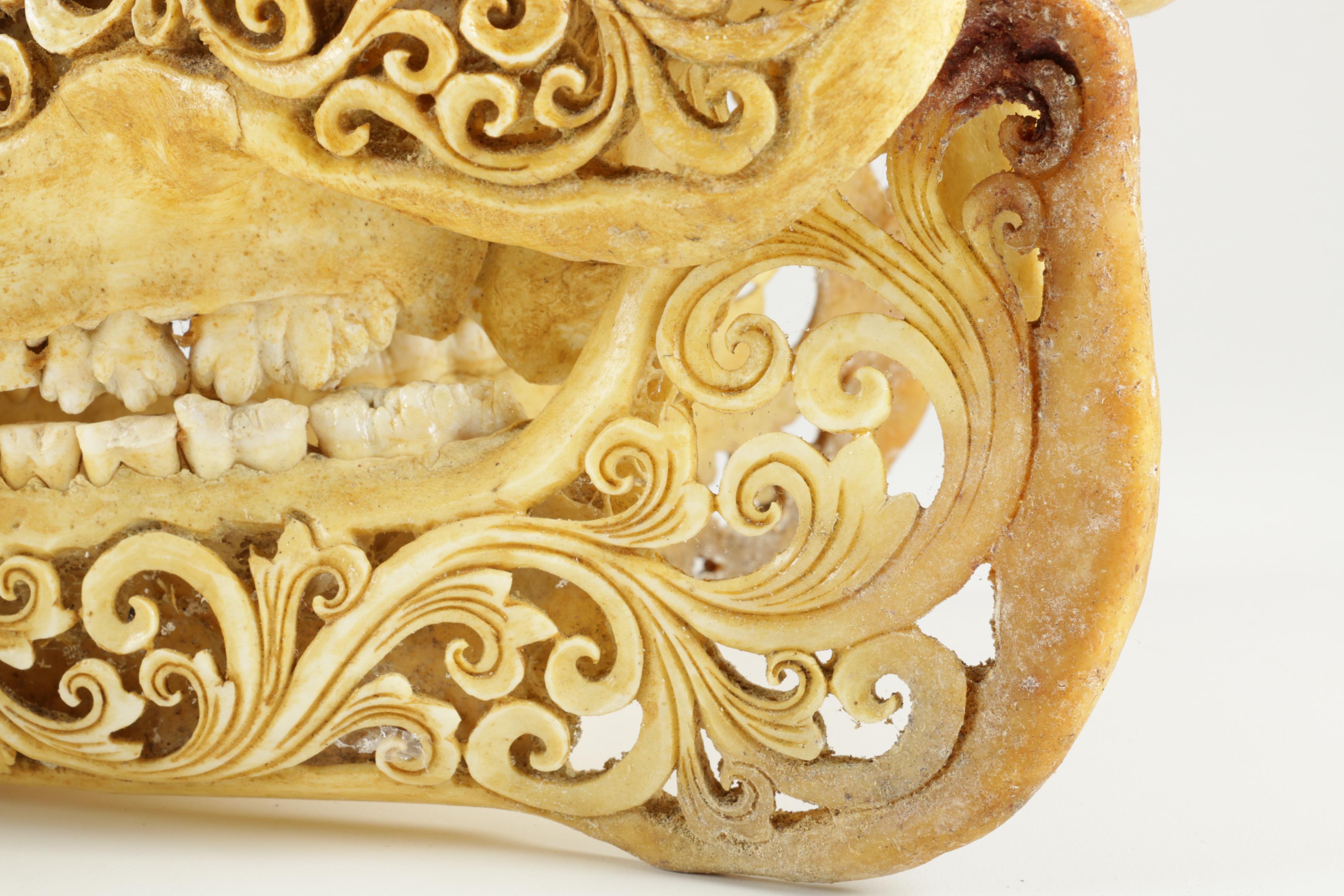 Ornately Carved Animal Skulls