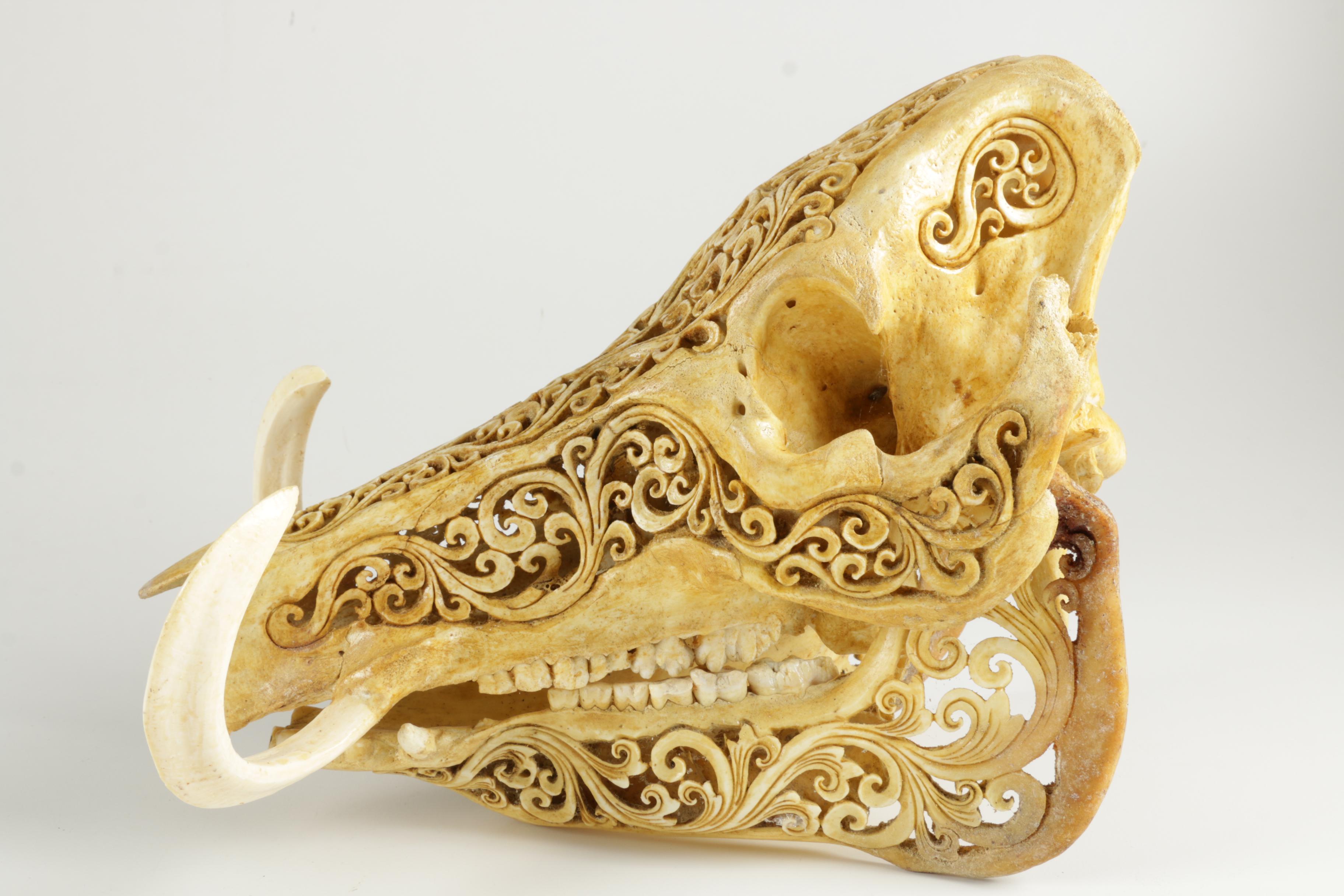 Ornately Carved Animal Skulls