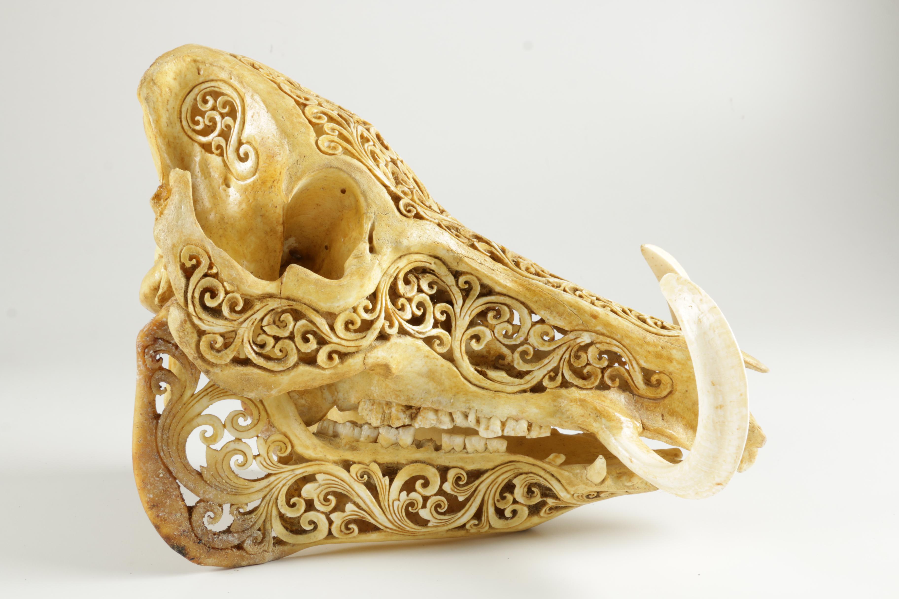 Ornately Carved Animal Skulls