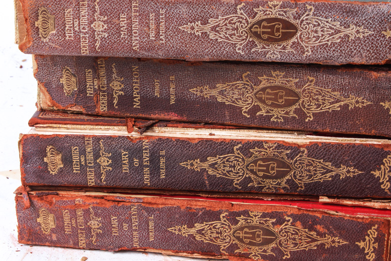 "Memoirs and Secret Chronicles of the Courts of Europe" Collection
