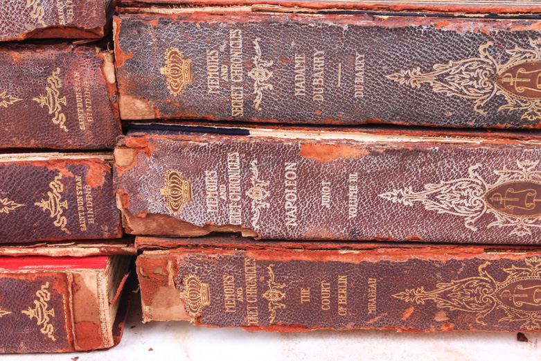 "Memoirs and Secret Chronicles of the Courts of Europe" Collection